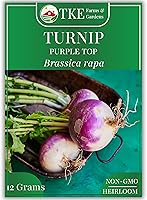 TKE Farms Purple Top Turnip Seeds - 5000 Heirloom Non-GMO, 12g Packet with Instructions, Quick 45-60 Day Harvest, Brassica Rapa