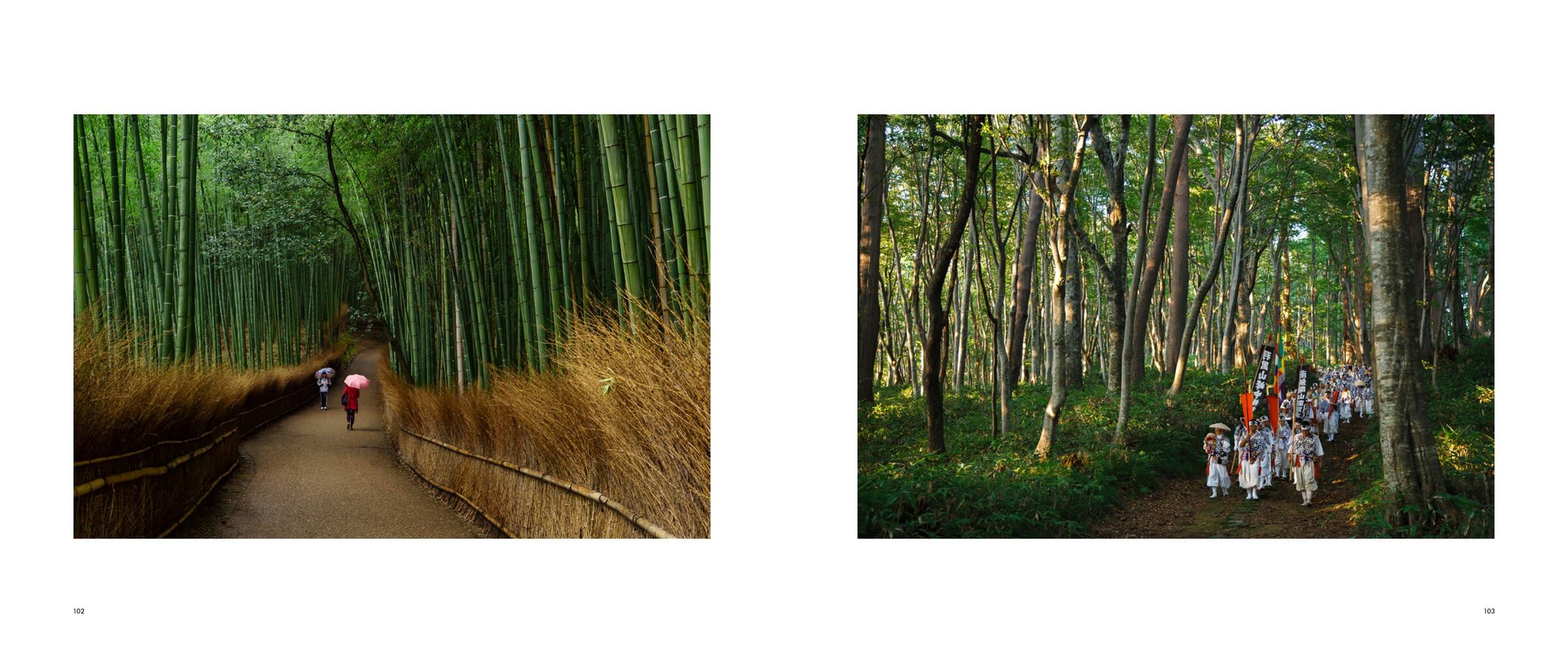 The Nature of Japan