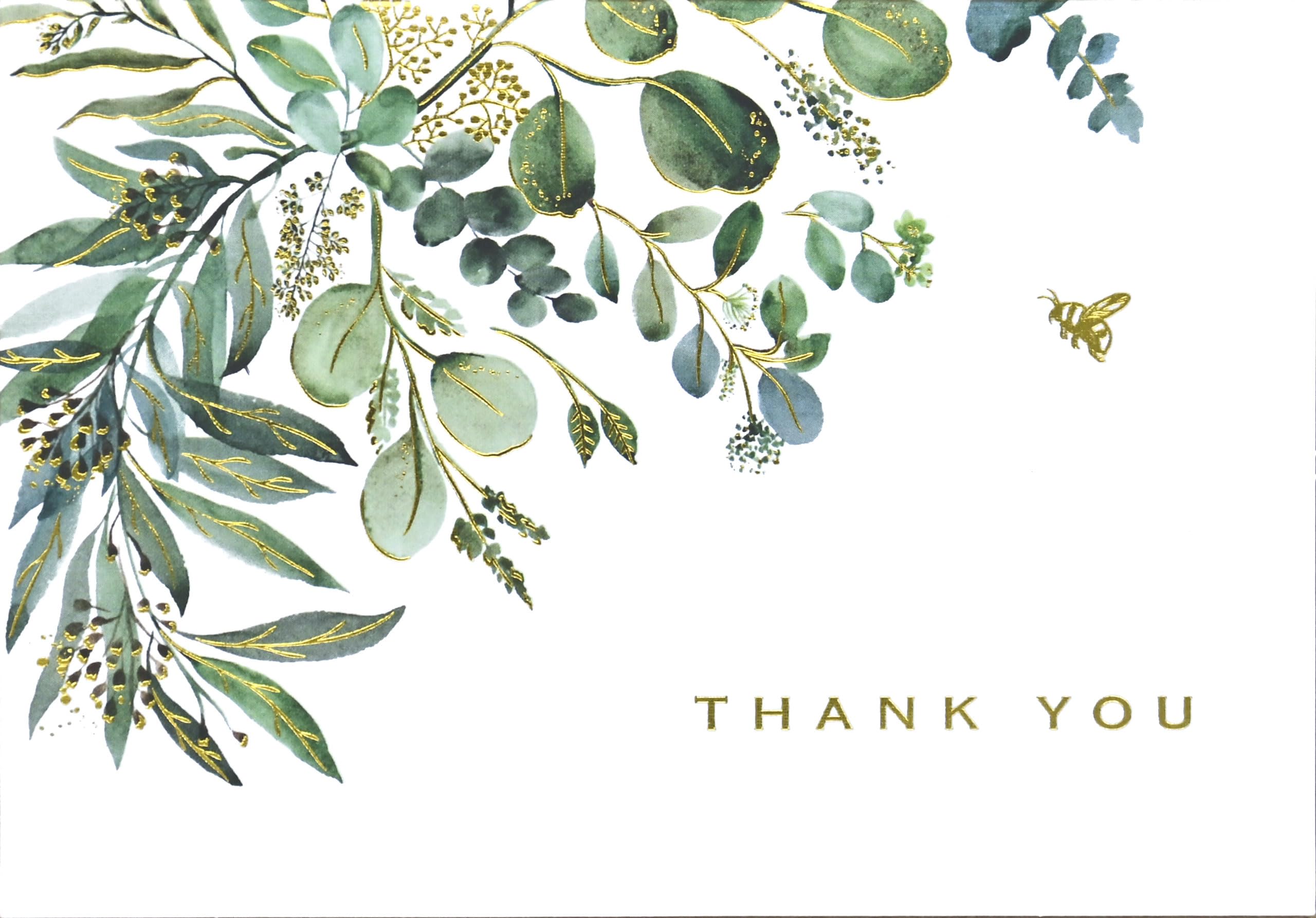 Eucalyptus Thank You Note Cards (14 Cards, 15 Self-sealing envelopes)