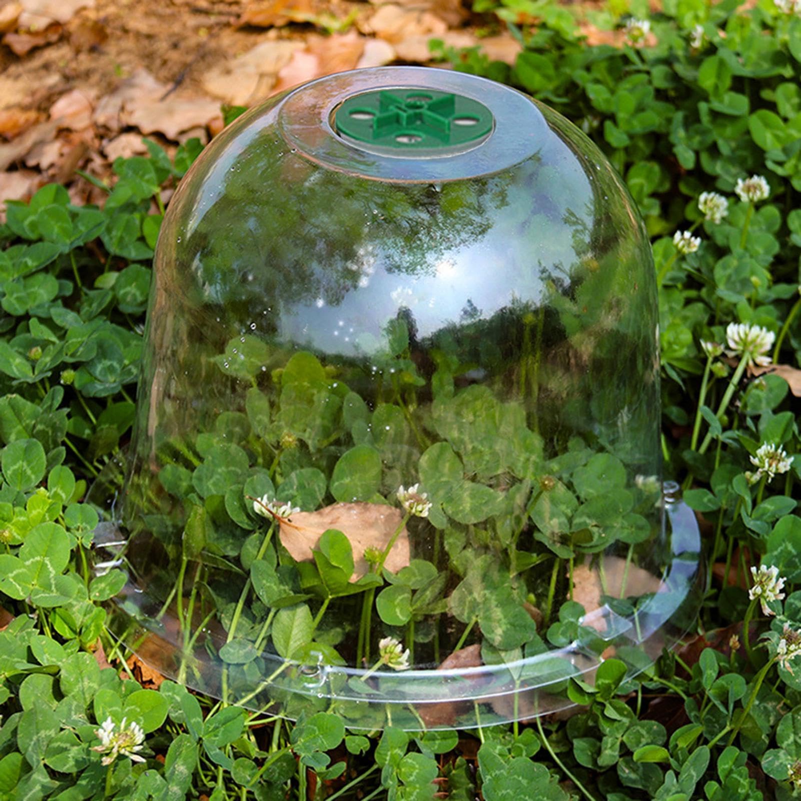10 Pièces Cloche pour Pla-ntes De Jardin - Couvercle De Cloche De Dôme De Plan-Te, Plan-Te Succulentes Couvercle Jardin Cloche Dôme, Dômes D'humidité Réglables pour Plan-Te Serre