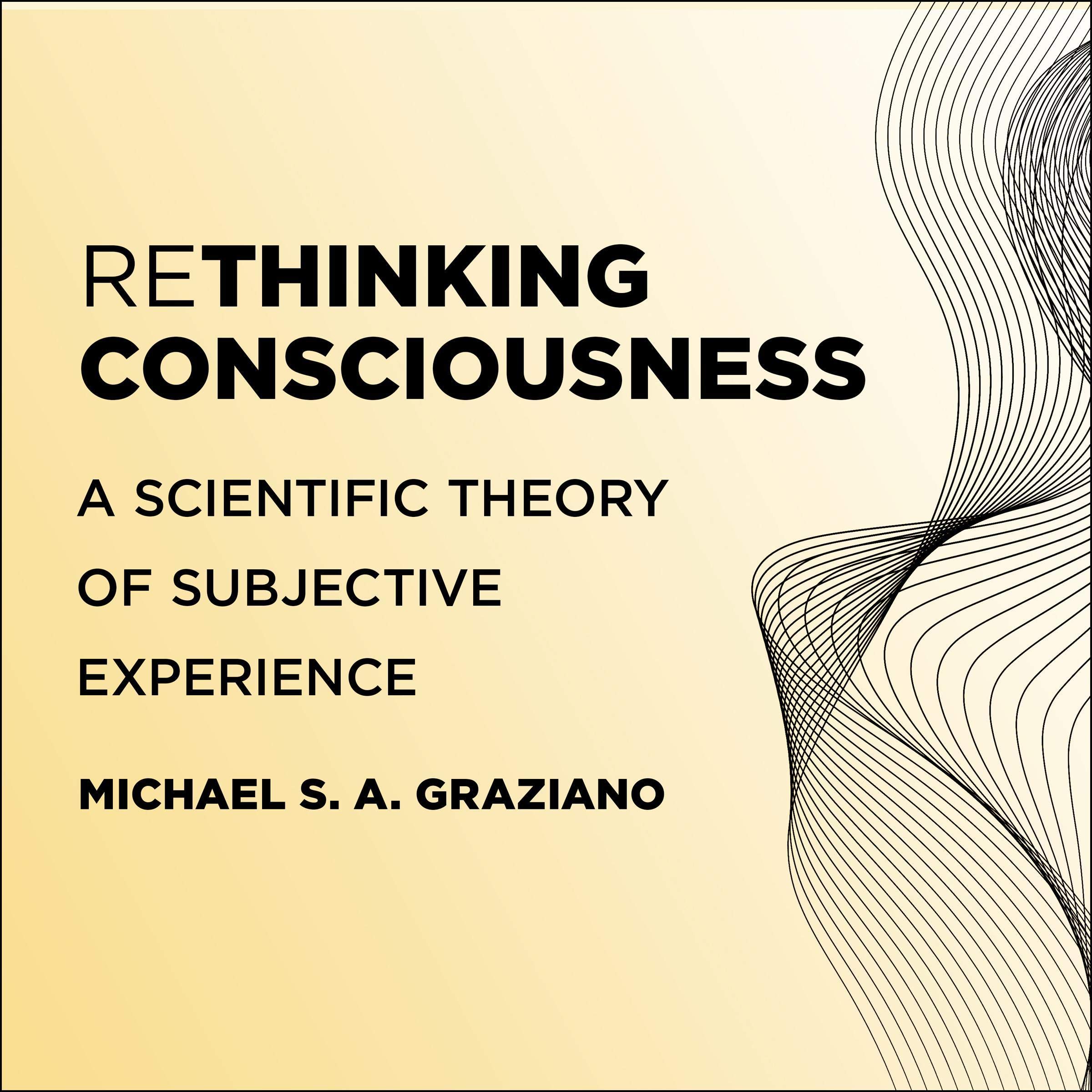 Cover art for Rethinking Consciousness