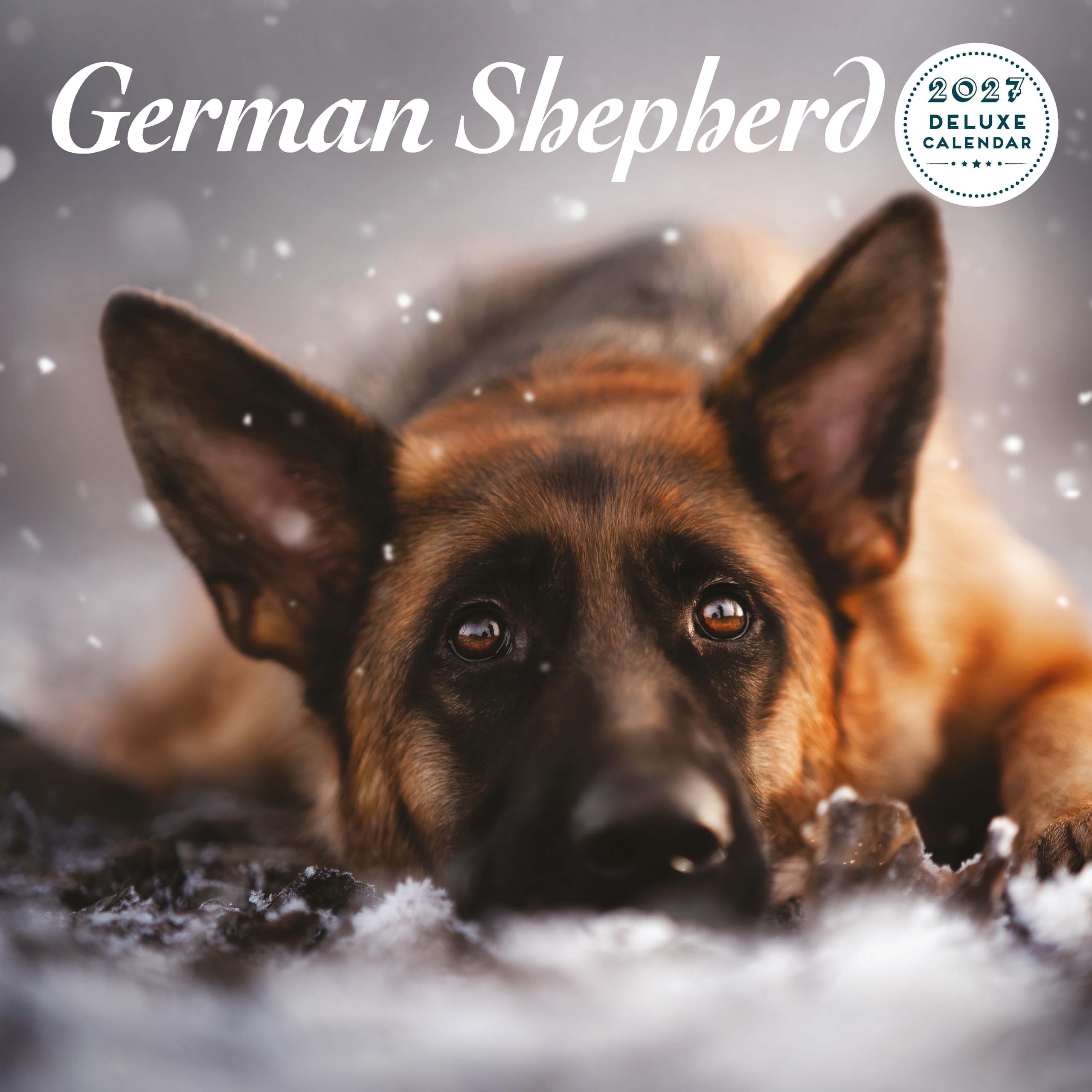 German Shepherd 2027 Deluxe Calendar