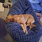 Review Image by Tricia Tricia