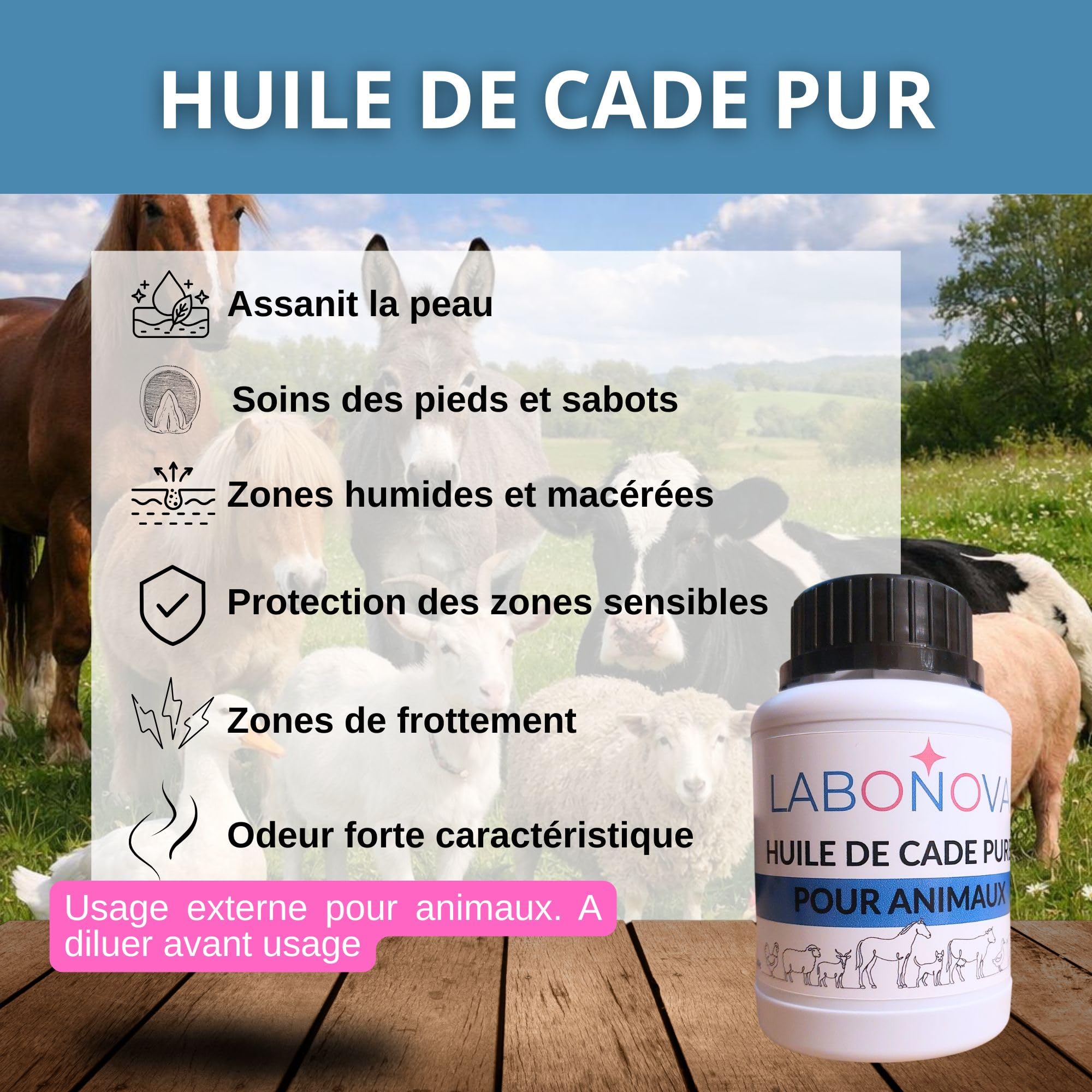 Huile de Cade Pur pour Animaux - Soins des Sabots, Pieds, Peaux - Cheval, Poule, Canard, chèvre, Mouton, âne, Vache 250g