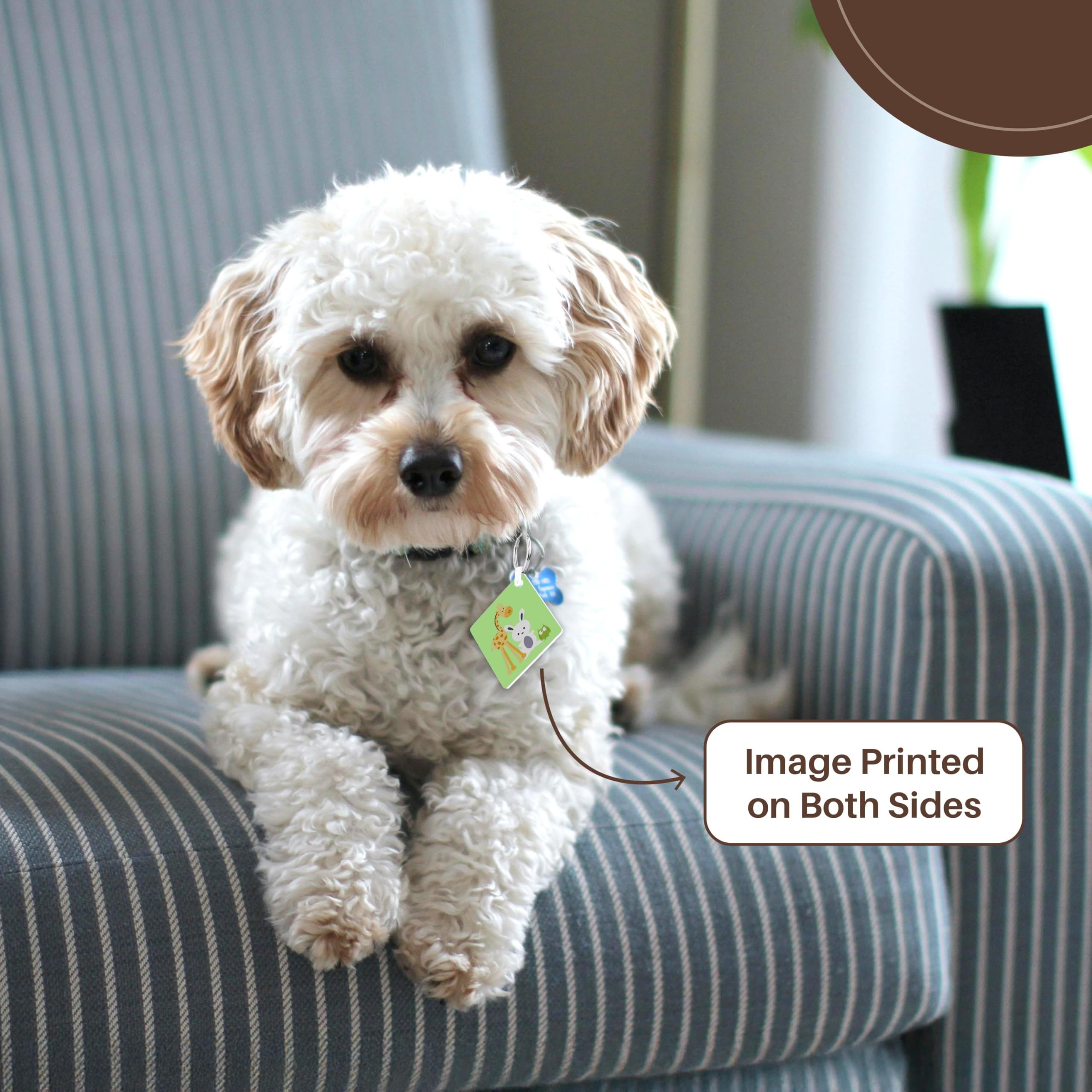 3dRose, Giraffe, Bunny and Owl lime kids room decoration, set of 2 Key Chains