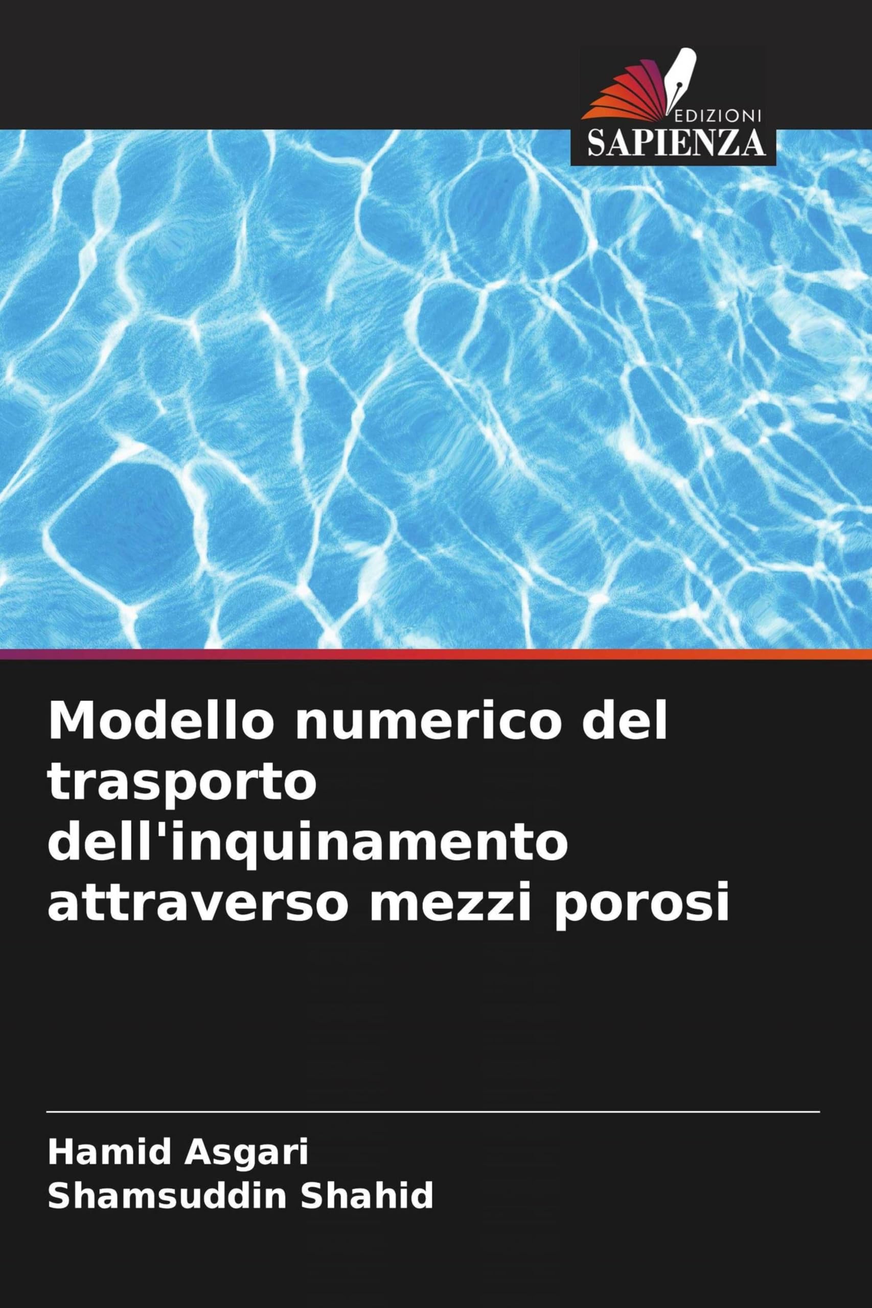 Modello numerico del trasporto dell'inquinamento attraverso mezzi porosi