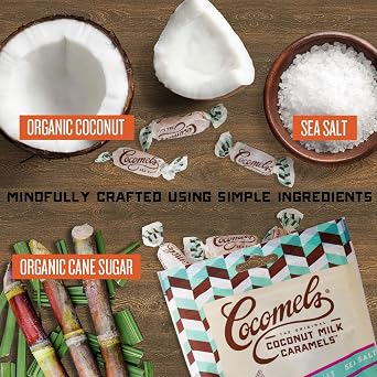 Sea Salt Cocomels Coconut Milk Caramels - Organic - Made Without Dairy - Kosher - GMO Free - Sea Salt 1 Pack