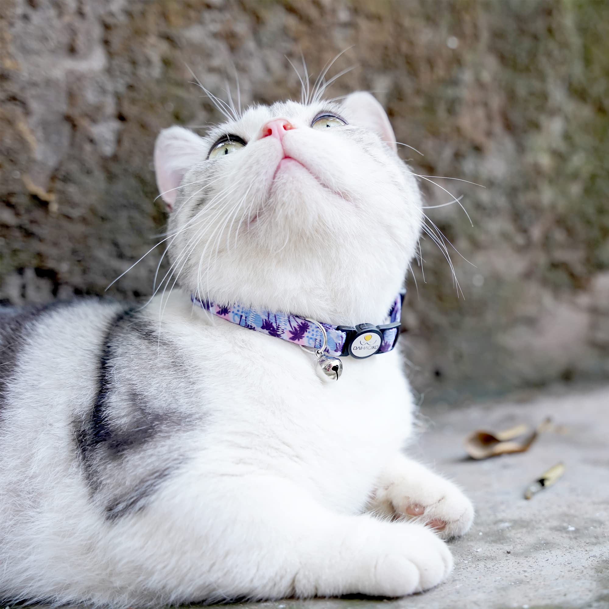 DAIHAQIKO Breakaway Cat Collars, Kitten Collar with Bell, Cute Cat Collar Personalized with Various Patterns for Girl Cats, Boy Cats (2 Pcs) (Crazy Purple)