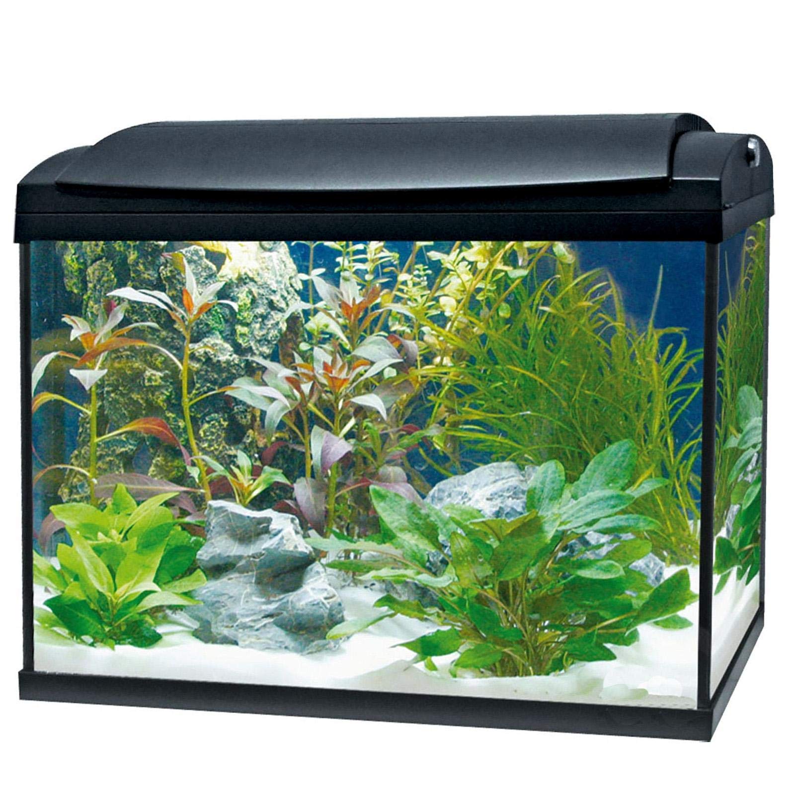 Hailea F-45 Black 45 Liters Aquarium with Filter Pump and Light