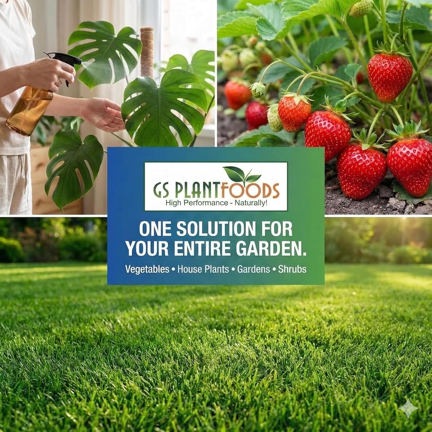 GS Plant Foods Liquid Fish & Kelp Fertilizer (1 Quart) – Organic Material Review Institute Listed Natural Plant Food for Home Gardens, and Vegetables