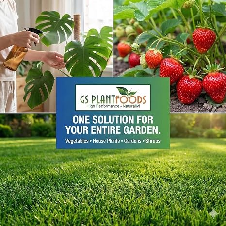 GS Plant Foods Liquid Fish & Kelp Fertilizer (1 Gallon) Organic Material Review Institute Listed Natural Plant Food for Home Gardens, Lawns, and Vegetables
