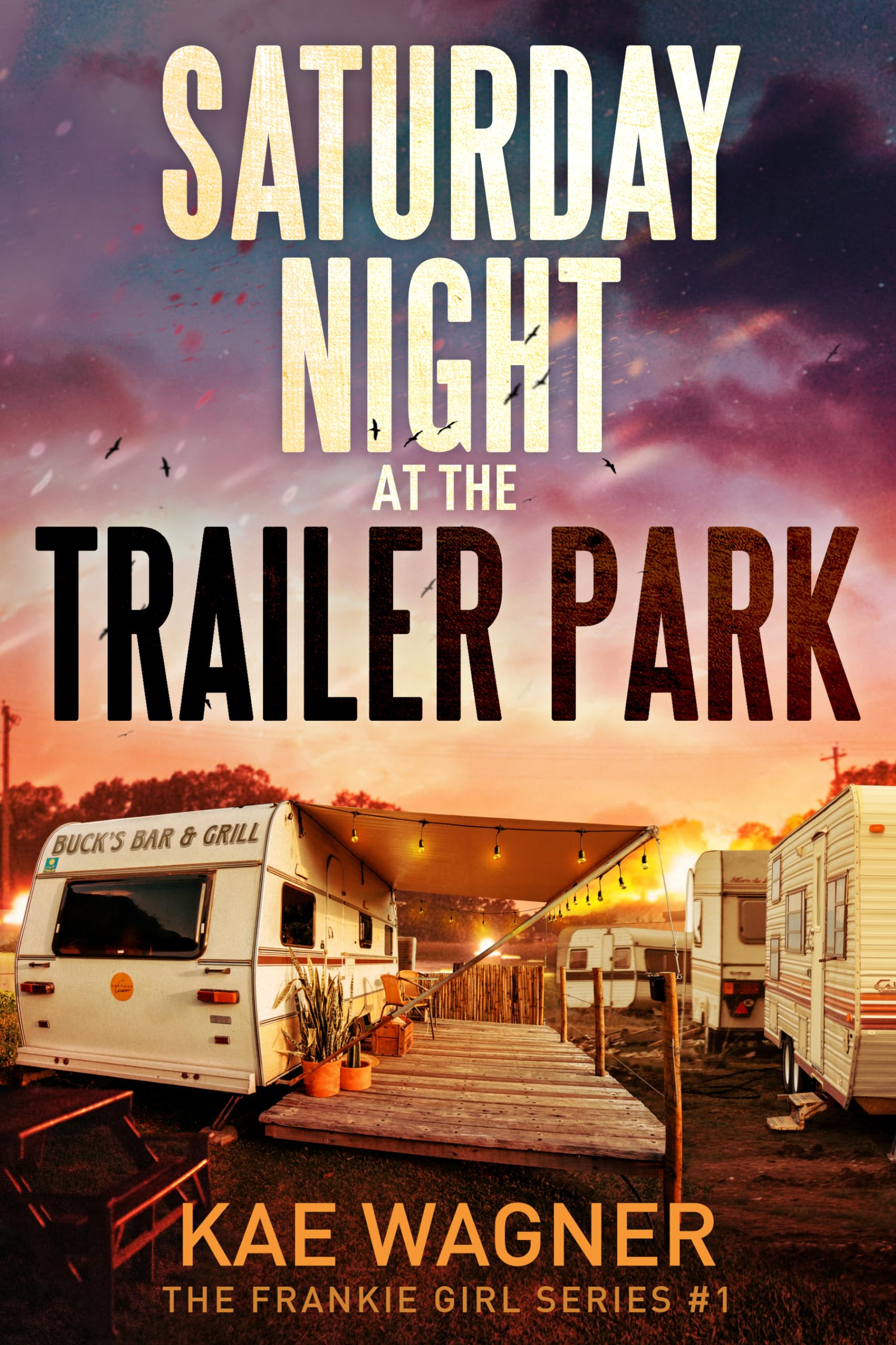 Saturday Night at the Trailer Park (The Frankie Girl Series Book 1)