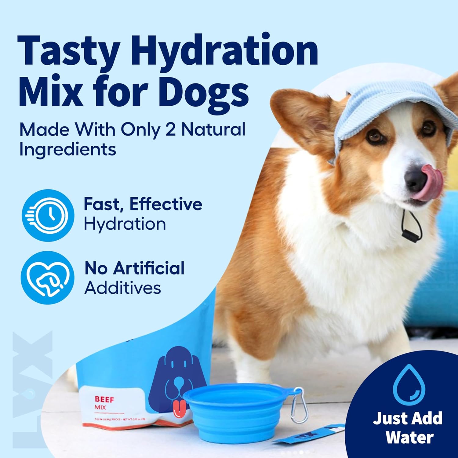 Essential Hydration for Dogs – Electrolyte & Nutrient Water Enhancer for Active & Senior Dogs – Supports Hydration, Recovery & Wellness – Travel-Friendly Supplement Packets – 28 Count (Chicken)