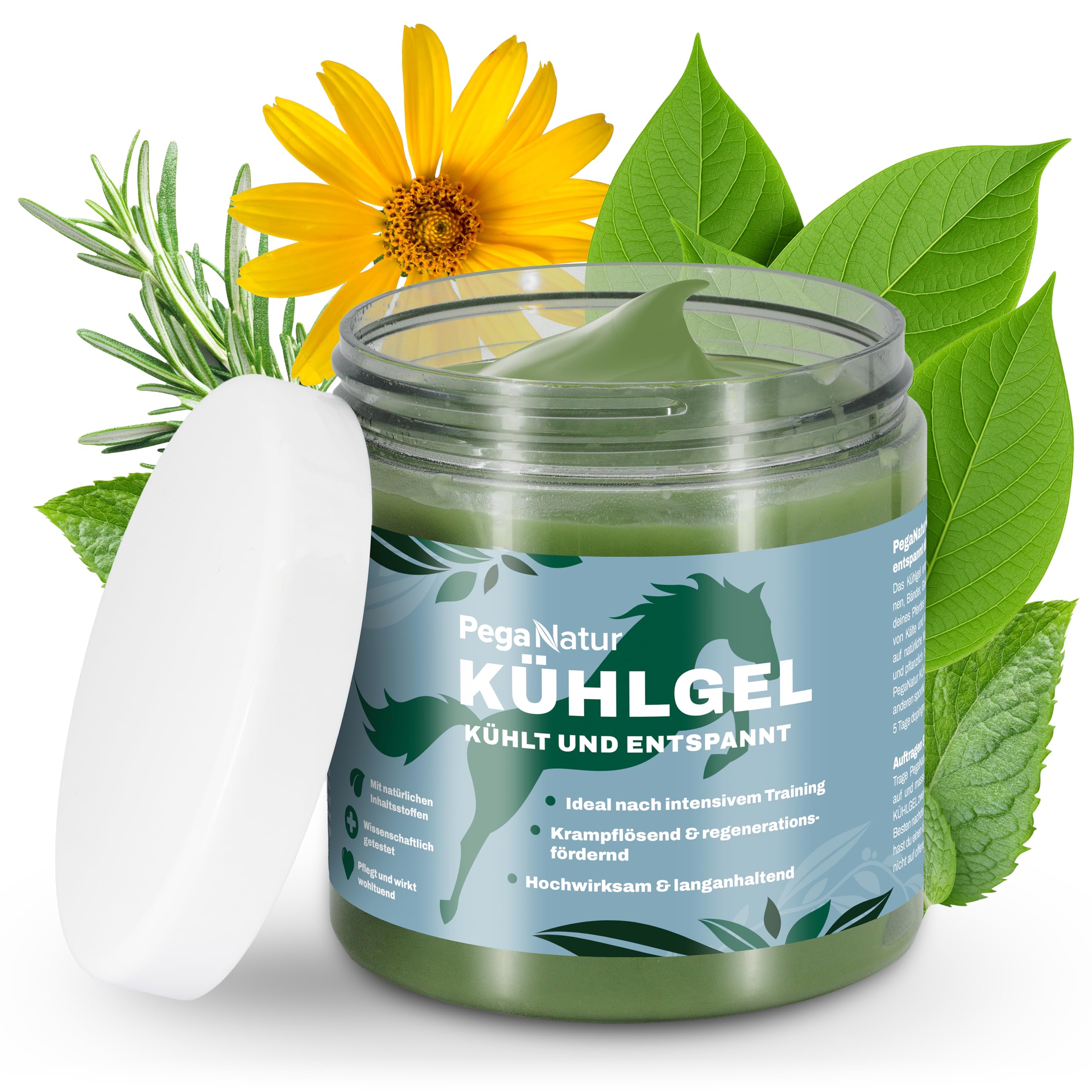 Kühlgel 500ml Pferdebalsam wärmend und kühlend [extrastark] Pferdebalsam kühlend mit Arnika und Kampferöl bei Gelenkschmerzen Pferde Muskelentspannung Horse Pferd Entspannung Pferdesalbe