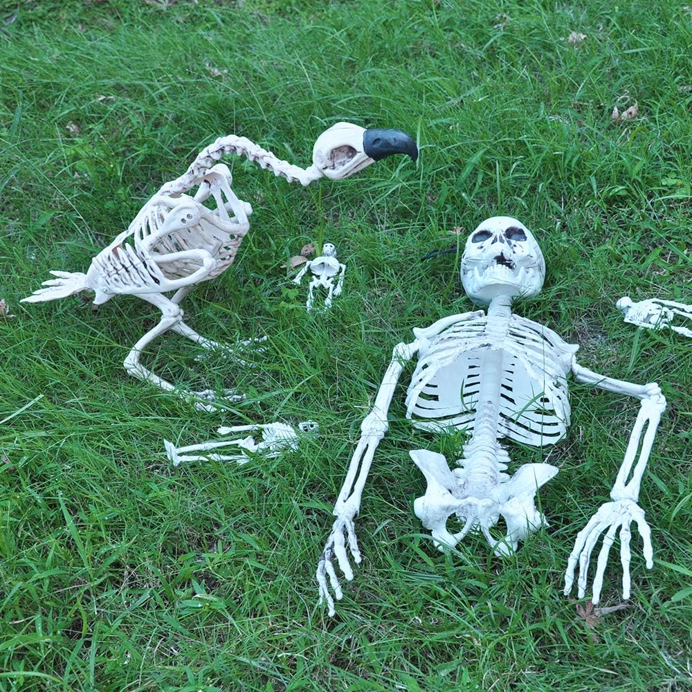 Halloween Decoration 16” Pose-N-Stay Vulture Skeleton Plastic Bones with Posable Joints for Pose Skeleton Prop Indoor/Outdoor Spooky Scene Party Favors Décor.