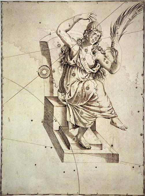 Amazon Co Jp 星座 カシオペア 北星座 カシオペイア ヨハネ バイエルス 天体アトラス ウラノメトリア 1603 ポスター プリント 18 X 24 おもちゃ