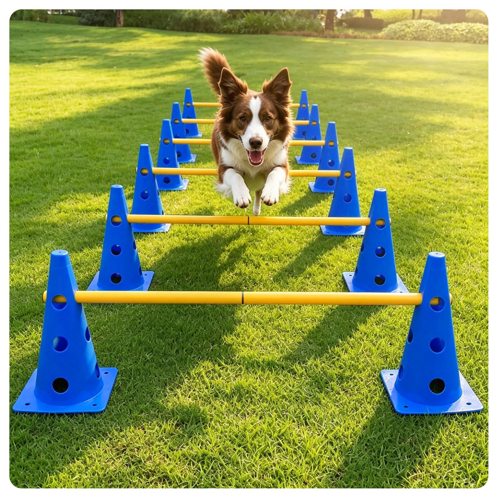 MAICIBI Dog Agility Hurdle Training Set (Hurdle cone-12) — image 1