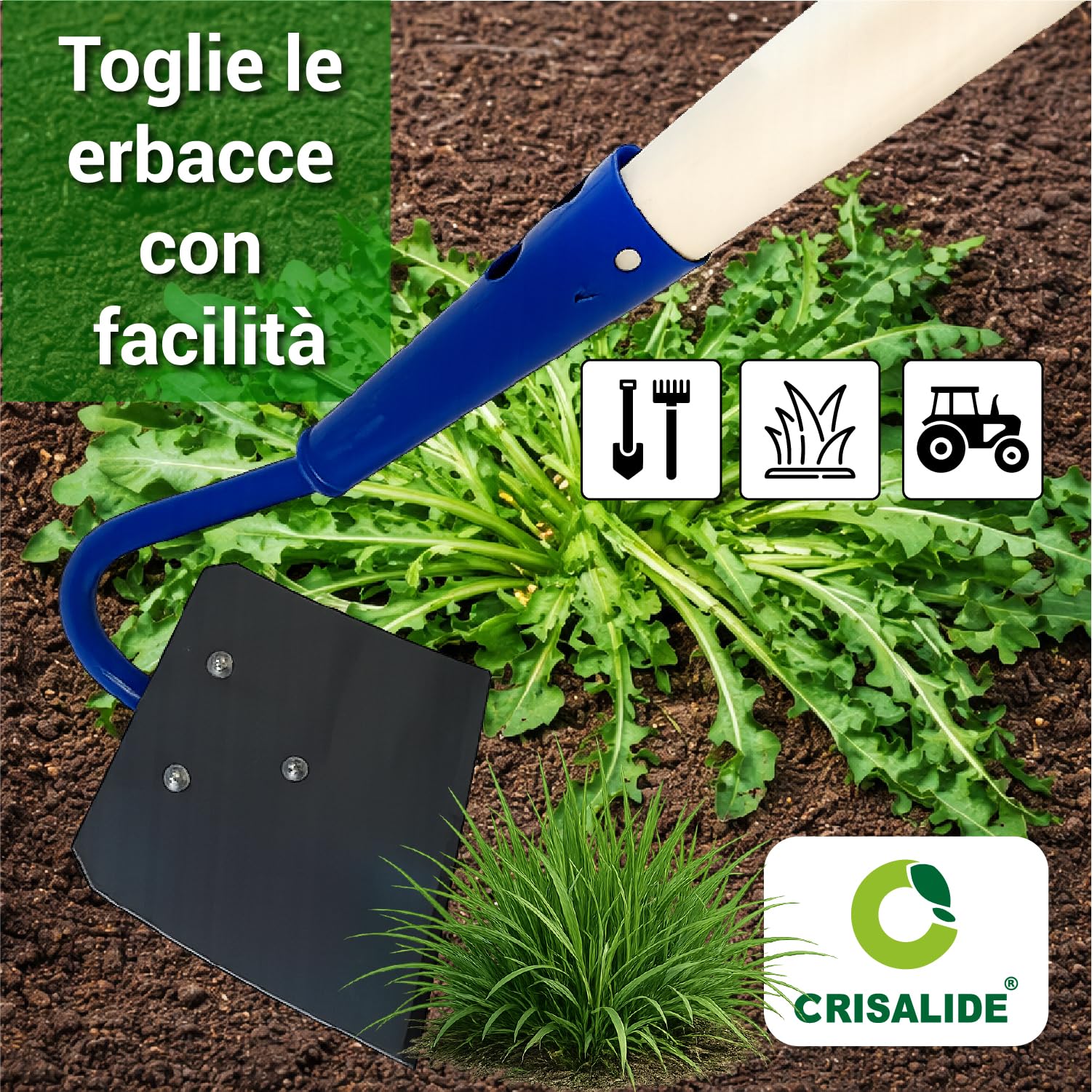 Crisalide® - Sarchiatore per Erbacce con Manico 150 cm in Legno di Faggio – Zappa Manuale da Giardino in Acciaio – Attrezzo Diserbo Preciso per Orto, Aiuole e Terreno