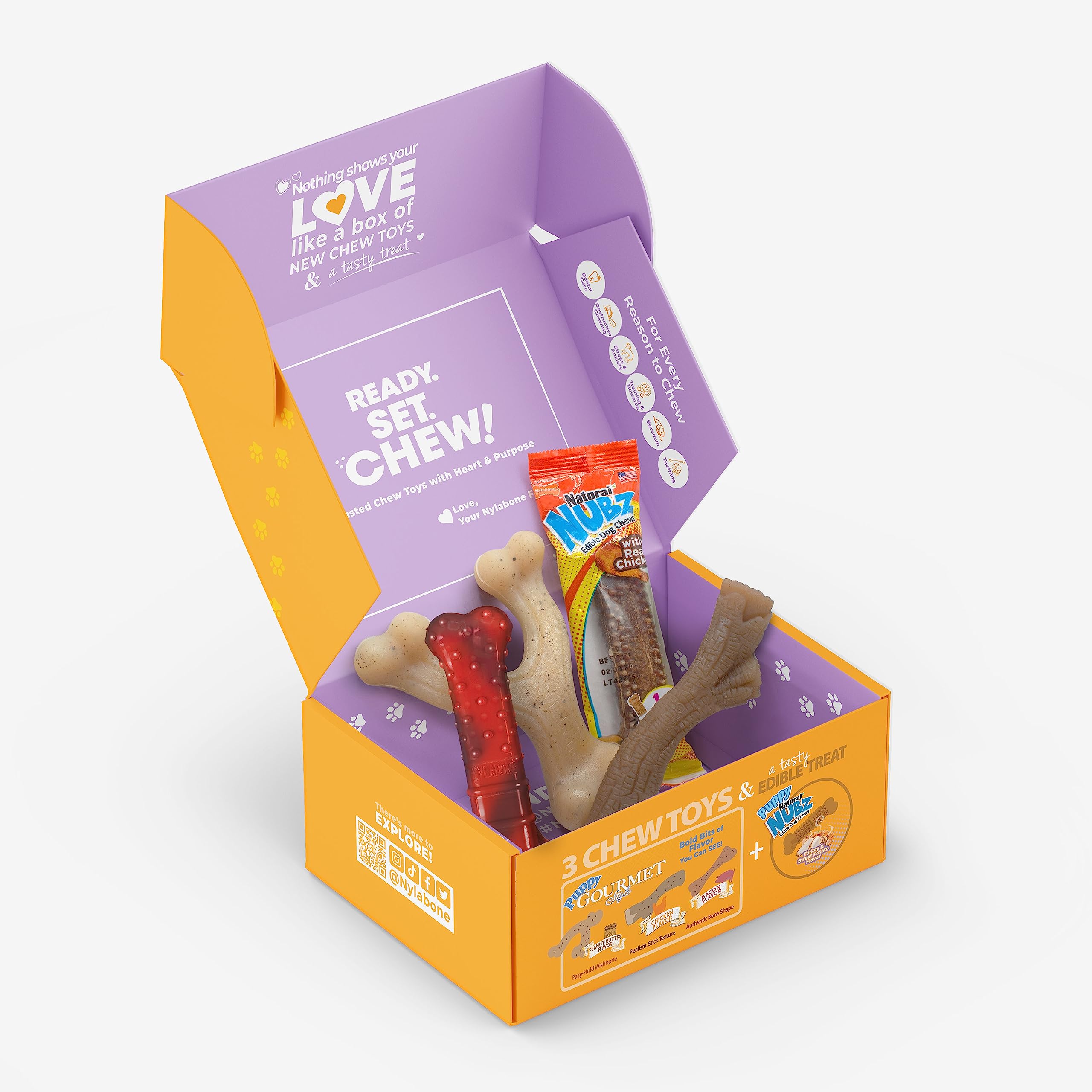 NylaboneDog Gift Box, Includes 3 Strong Chew Toys and 1 Natural Treat, Gifts for Dogs, Small - Up to 25 lbs, 4 Pack