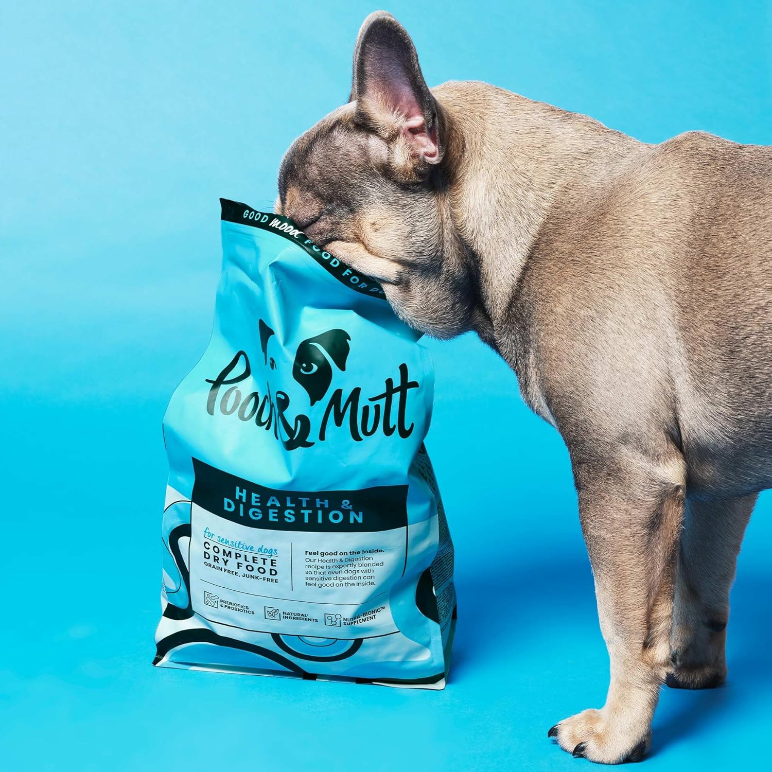 Pooch Mutt Grain Free Dog Food, Salmon Sweet Zambia Ubuy