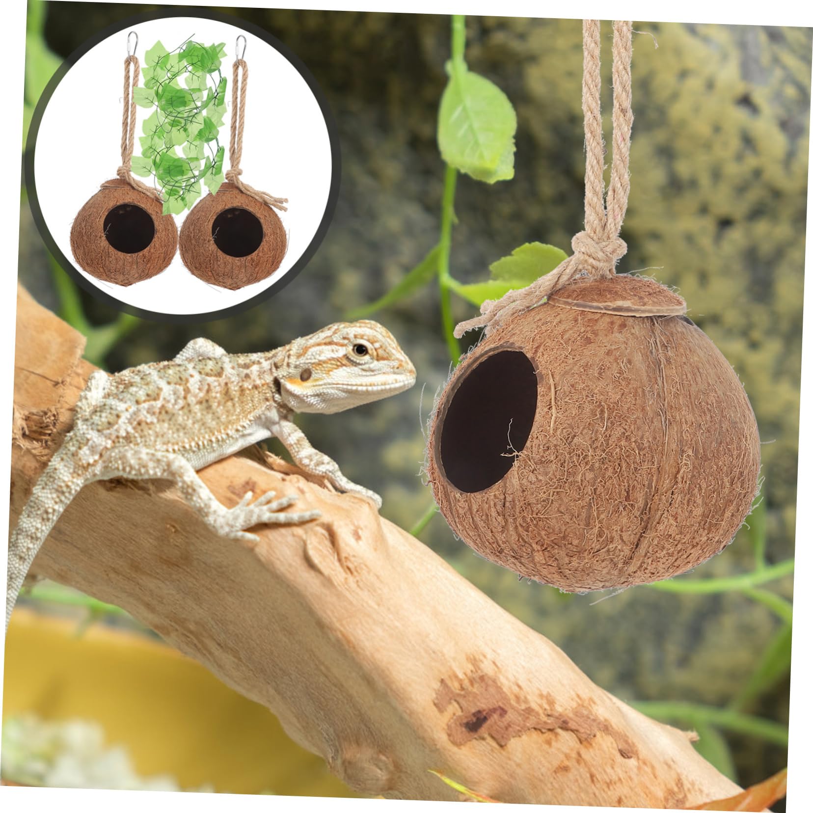Reptilien Haustiernest und Natürlichen Gras aus Kokosnussschalen 4 Stück mit Bequemem Hängenest Strapazierfähigem Seil und Natürlichem Gras für Kleine Haustiere und Eidechsen