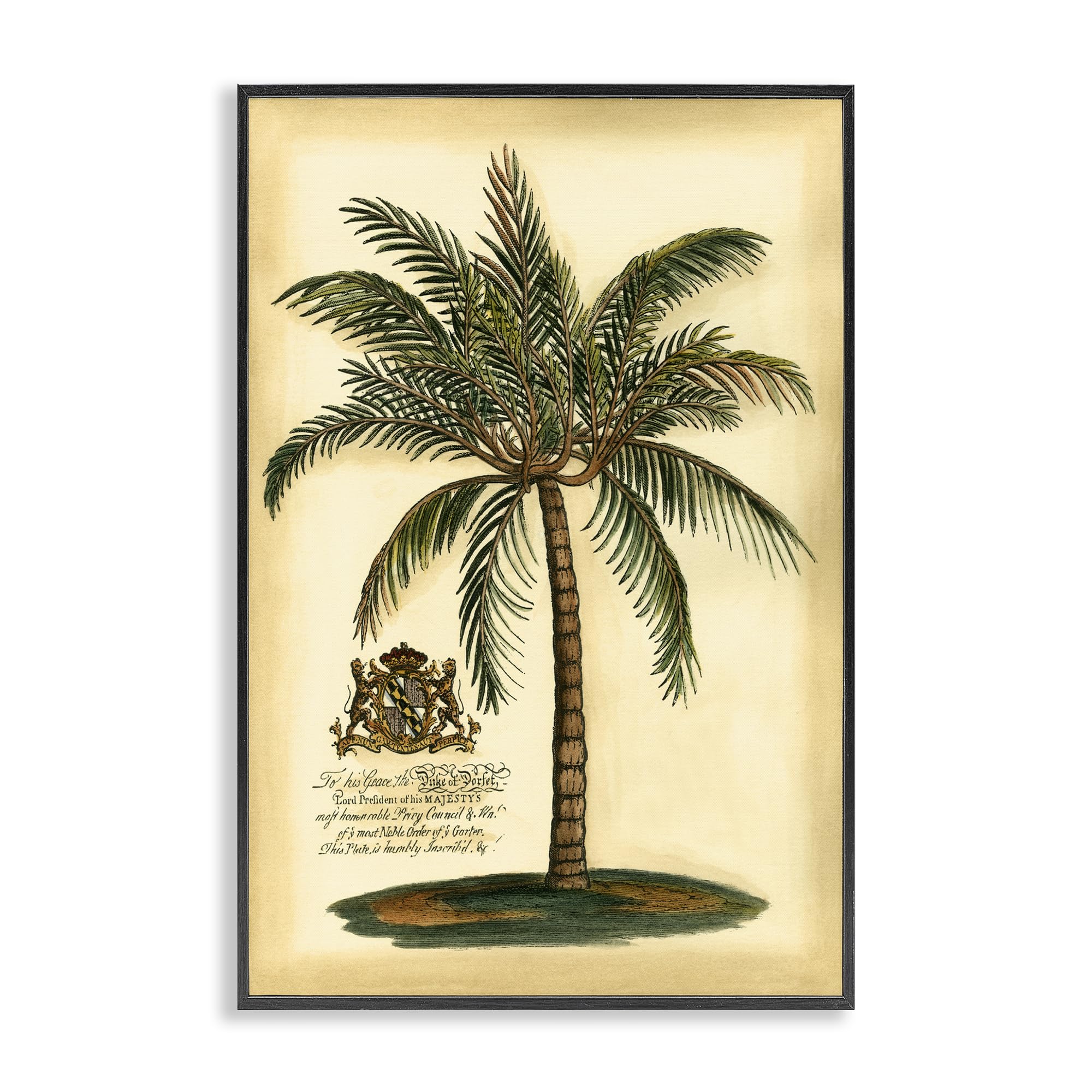 Stupell Industries Vintage Colonial Palm Illustration 'British Colonial Palm', Framed Giclee Art, Black, 20 X 30 Inches, Easy To Hang And Sturdy, Made In Usa, By Vision Studio