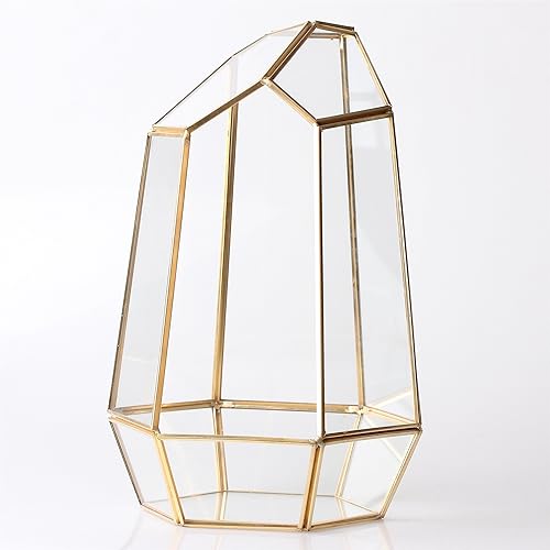 Miniatura 5 de Terrario geométrico alto de vidrio, para suculentas, Moderno, Transparente