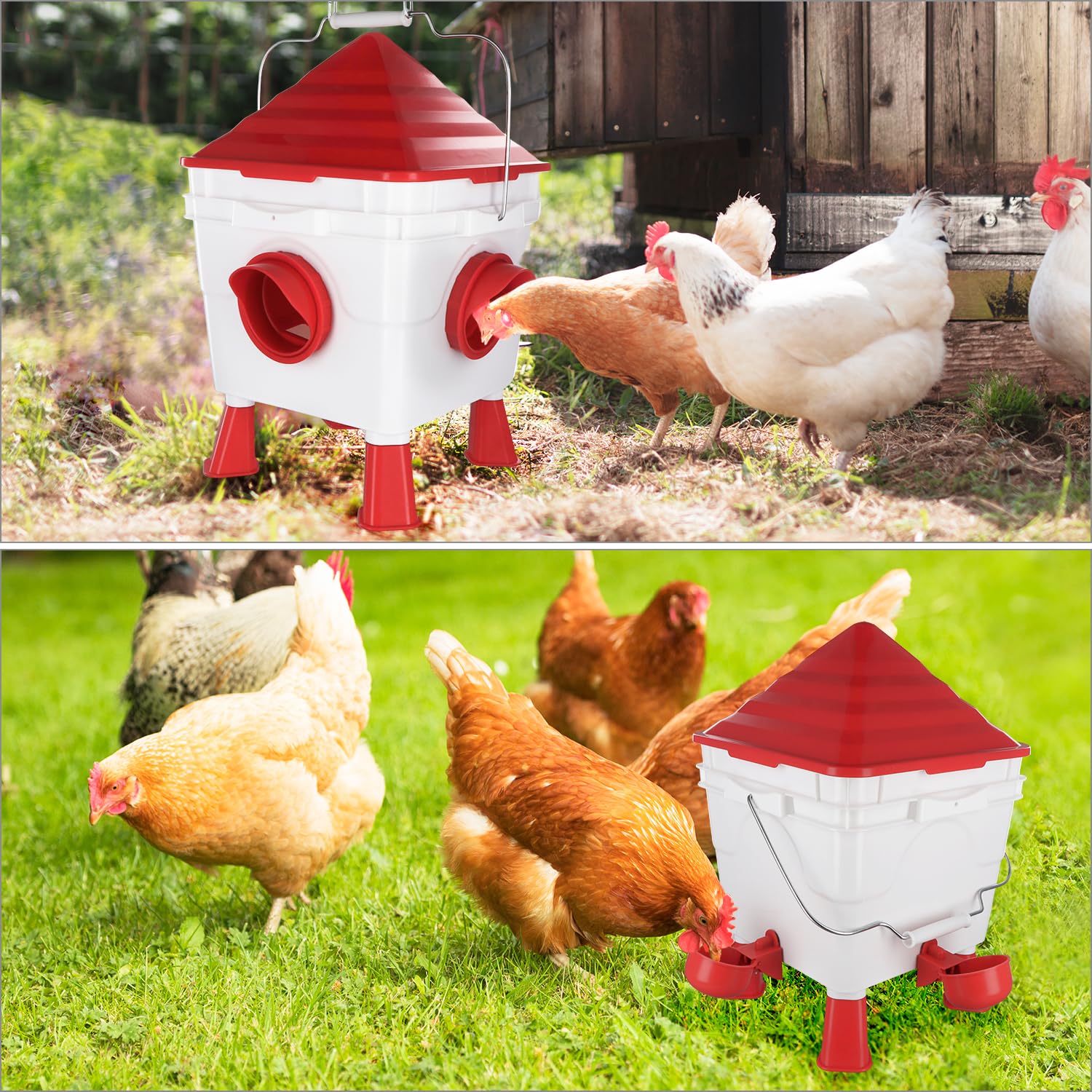 QWORK® Set Mangiatoia e Abbeveratoio Automatico per Galline Polli - 6Kg/8,5L - con Aperure Anti-Spreco, Piedi Rimovibili e Catene in Acciaio - Adatto per Uso Esterno