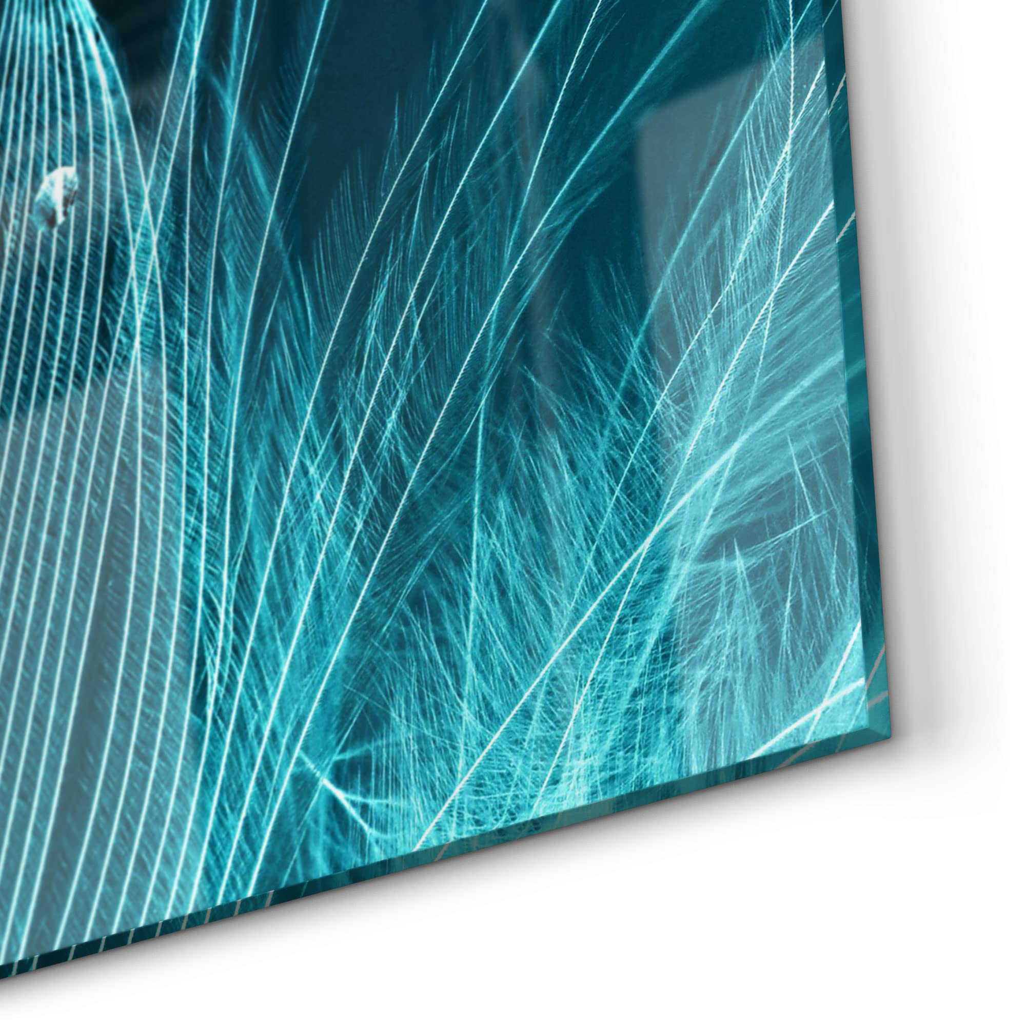 DEQORI Crédence de cuisine en verre | Motif plume avec perles d'eau | 100 x 50 cm | Panneau arrière de salle de bain ou de cuisinière | Protection anti-éclaboussures pour cuisine et salle de bain |