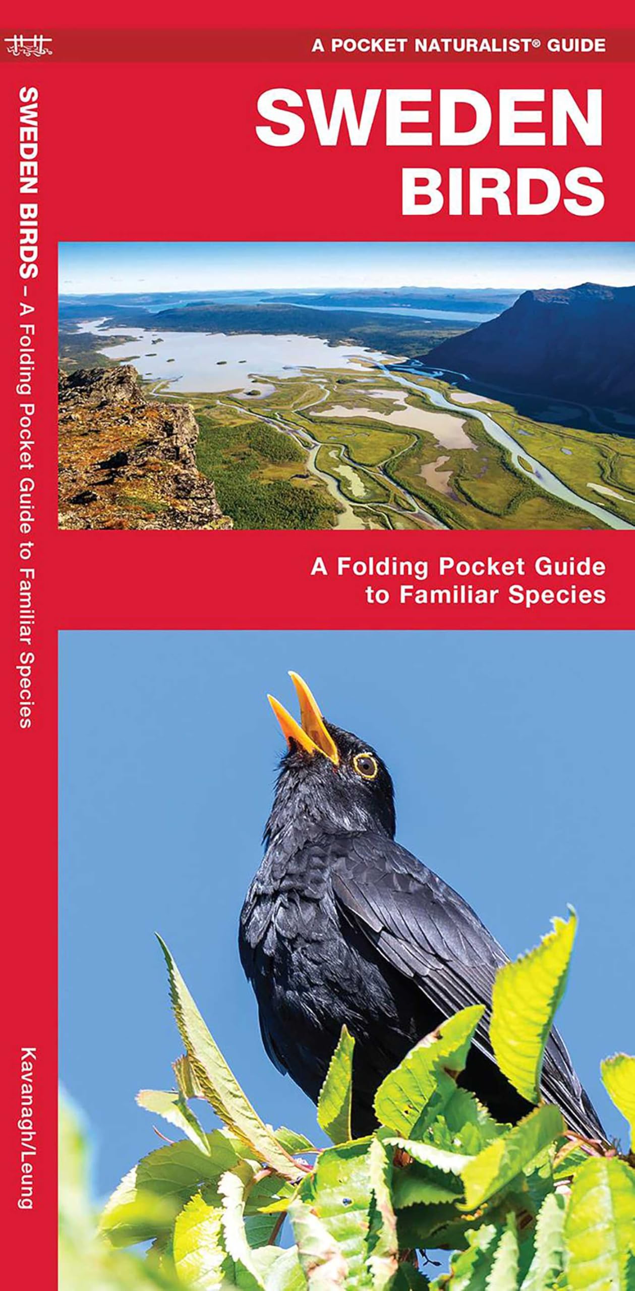 Sweden Birds: A Folding Pocket Guide to Familiar Species (Pocket Naturalist Guide) (Wildlife and Nature Identification) (Nature Observation International)