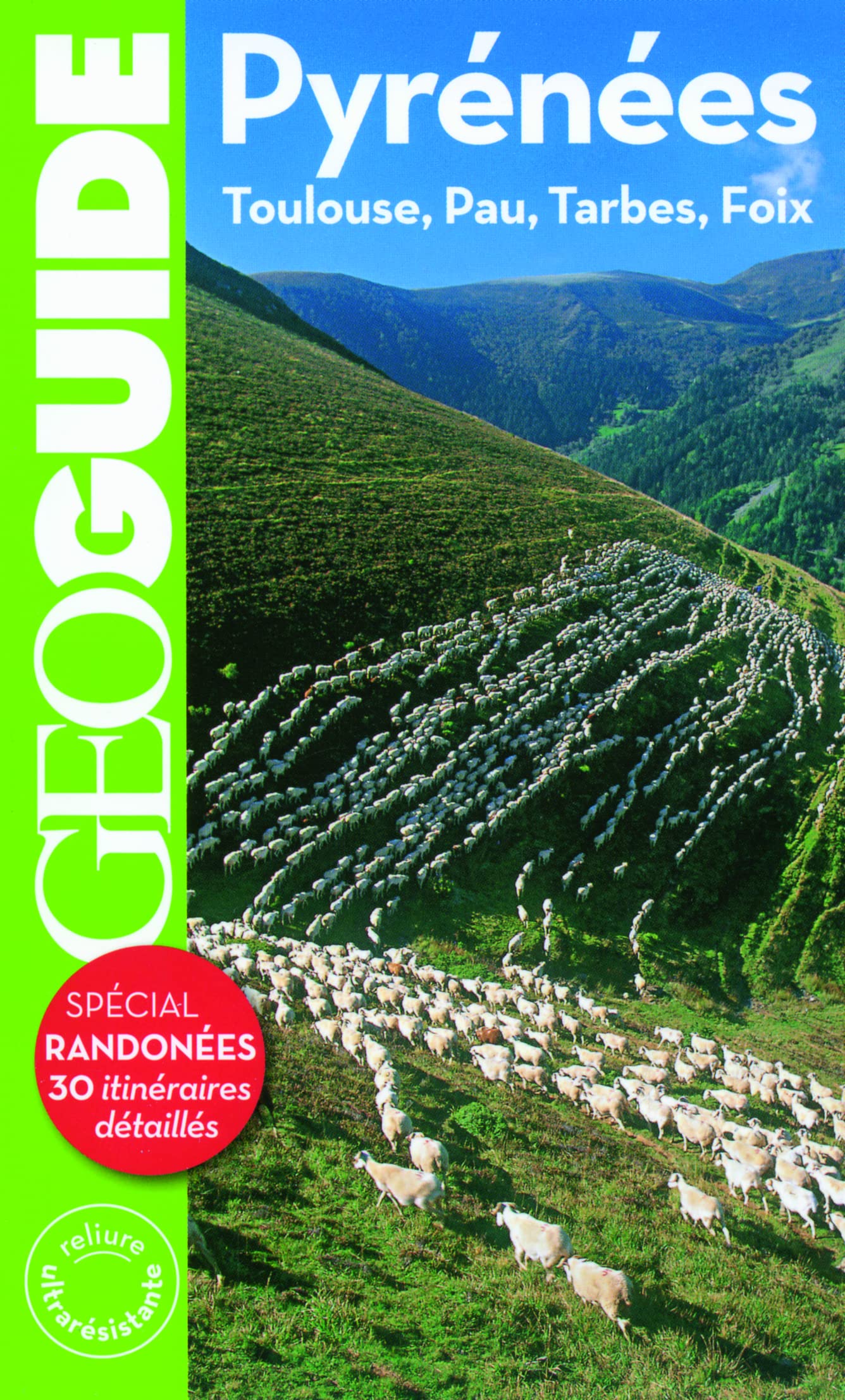 PYRENEES: TOULOUSE, PAU, TARBES, FOIX COLLECTIFS GALLIMARD LOISIRS