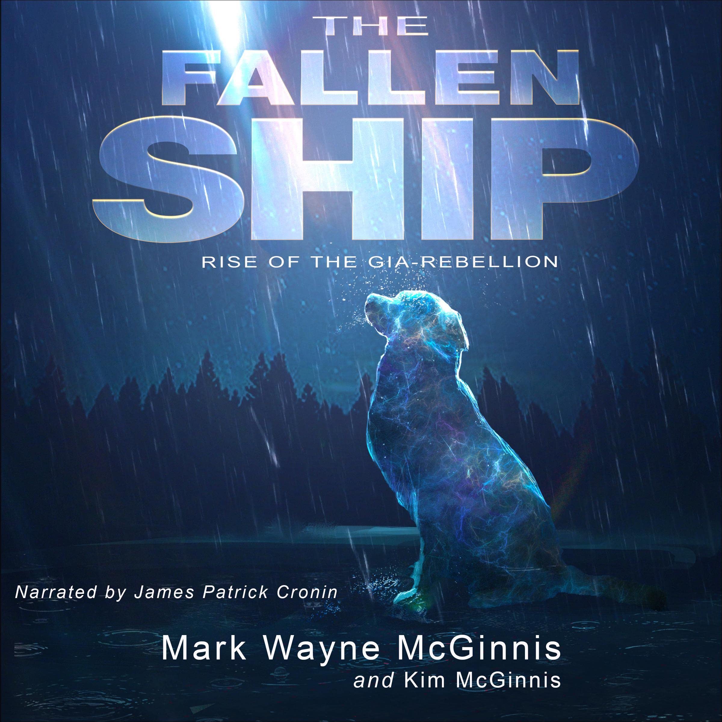 Cover art for The Fallen Ship