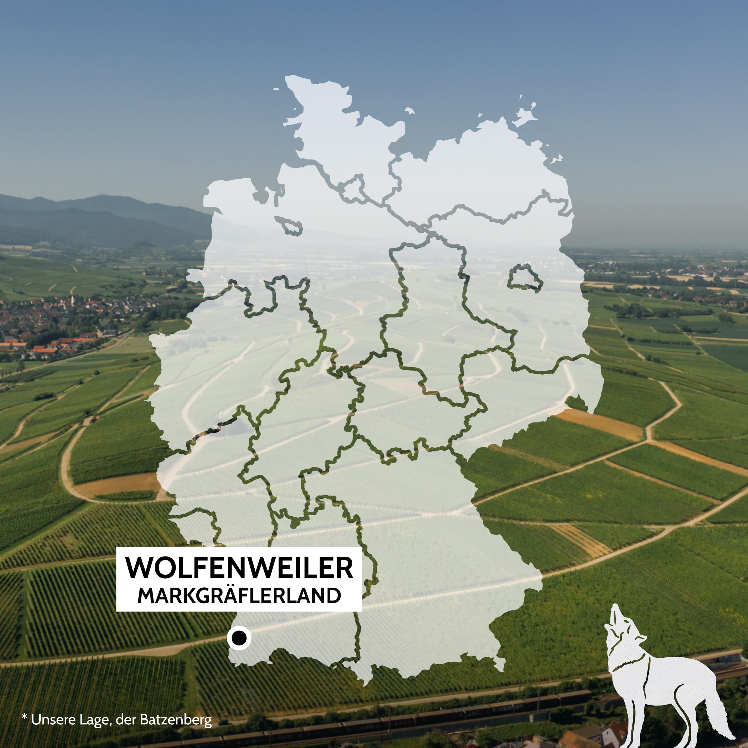 Wolfenweiler Spätburgunder trocken - Schwarzer Wolf rubinroter Rotwein trocken mit Holz- und Vanillearomen - Wein aus dem Markgräflerland Baden (6 x 0,75l)