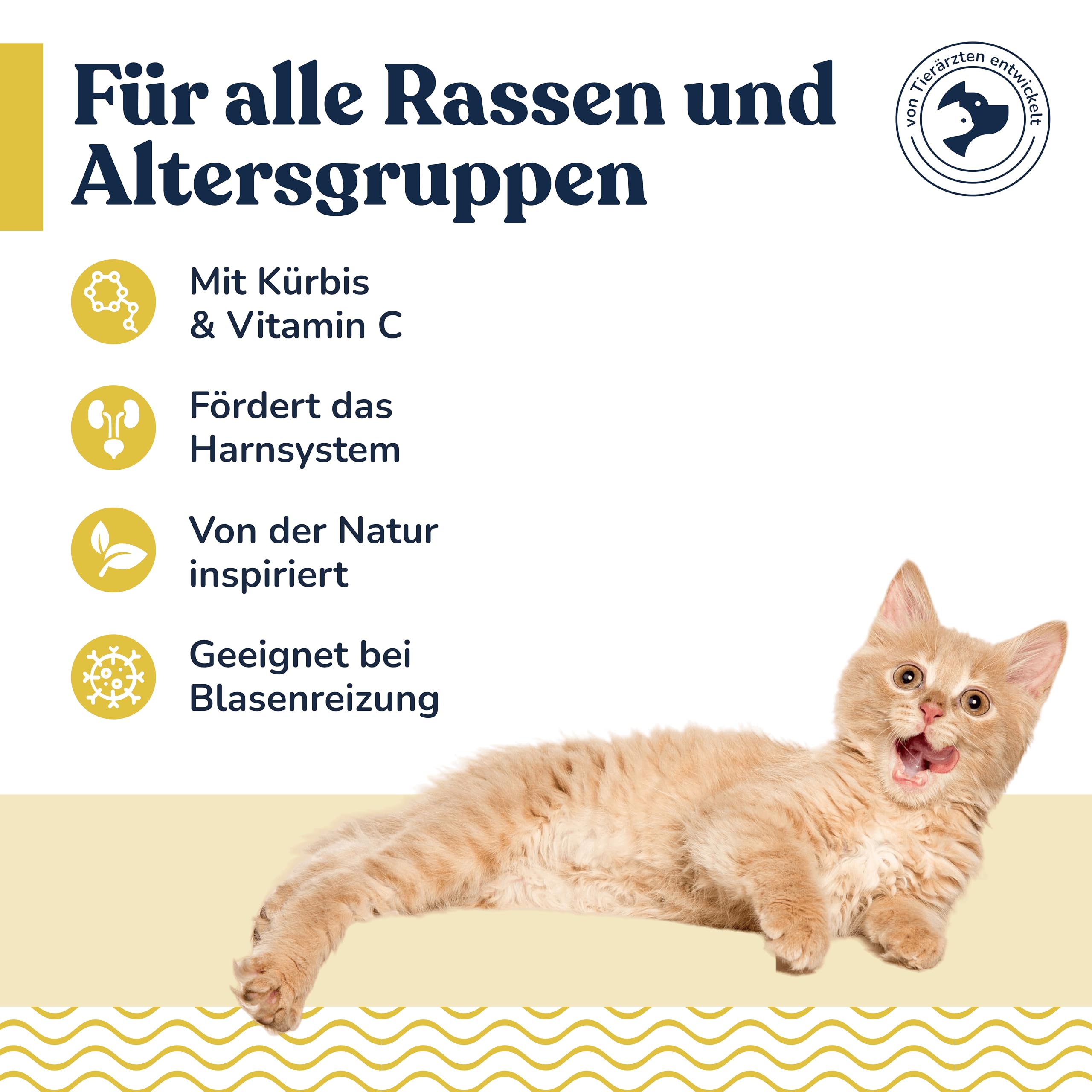 Felmo Pasta per vesciche e renali per gatti (100 g), supporto naturale per le vie urinarie grazie alla pasta funzionale per snack per gatti, per rafforzare il sistema immunitario e urinario. Adatto