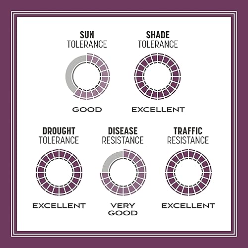 Miniatura 9 de Pennington The Rebels Tall Fescue Shady Grass Seed Mix 20 lb