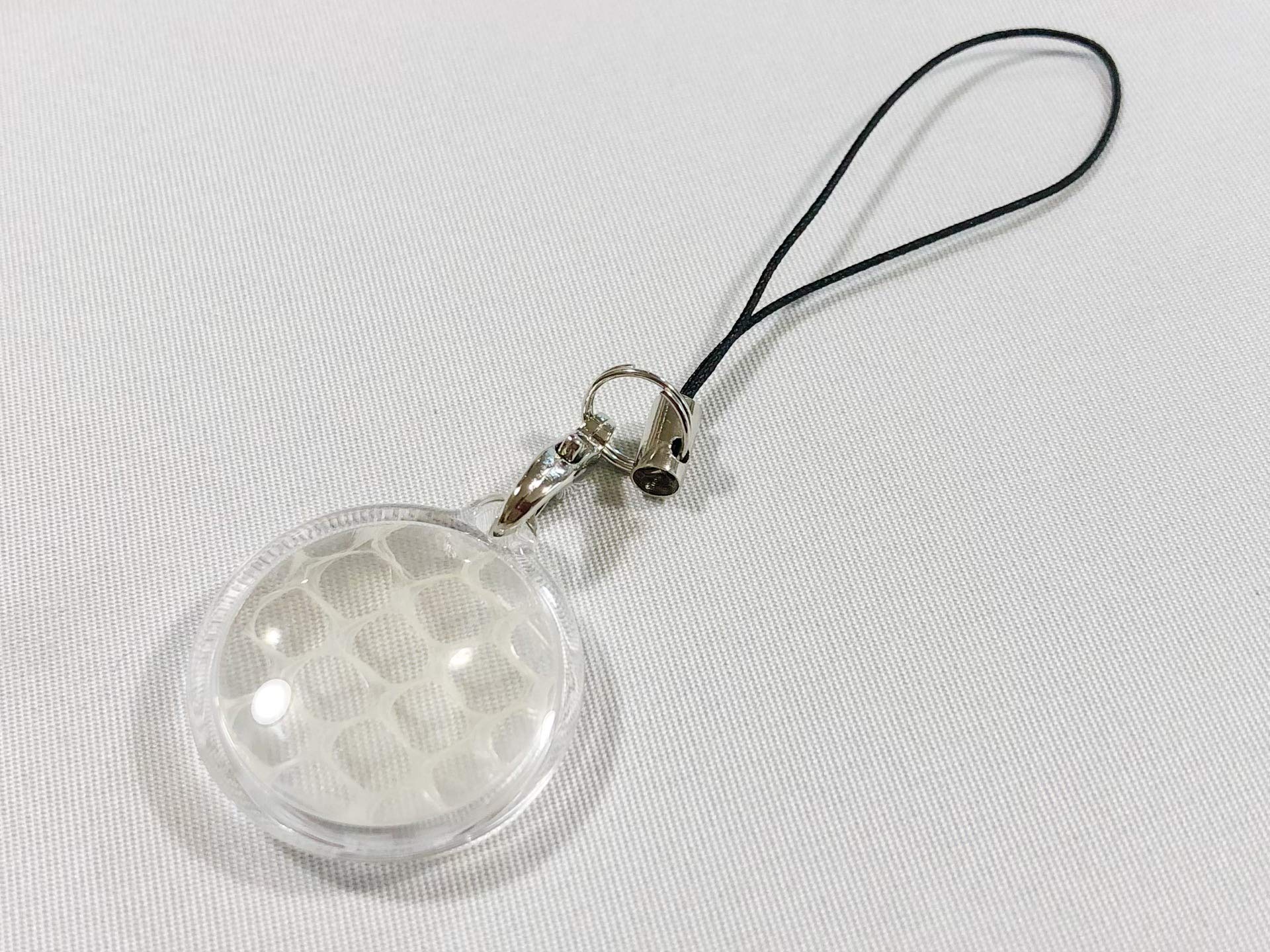 Amazon.co.jp: 白蛇 ストラップ アクセサリー キーホルダー パイソン 