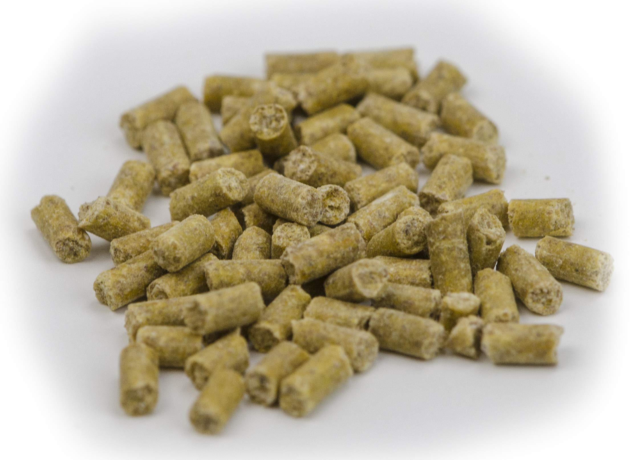 Holland Animal Care Excellent Horses Electrolytes Pellets - Nahrungsergänzungsmittel für Pferde - Zuckerfrei - 1kg - Ideal für unterwegs und bei Wettkämpfen - Leicht in einem Eimer zu transportieren