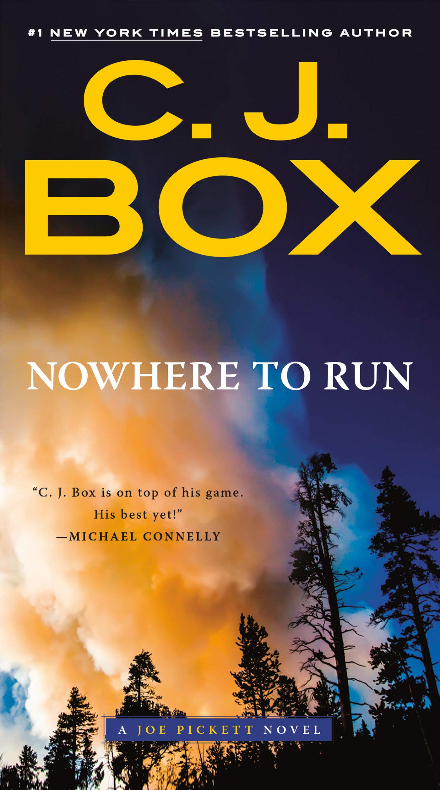 Nowhere to Run : Box, C. J.: Amazon.ca: Books