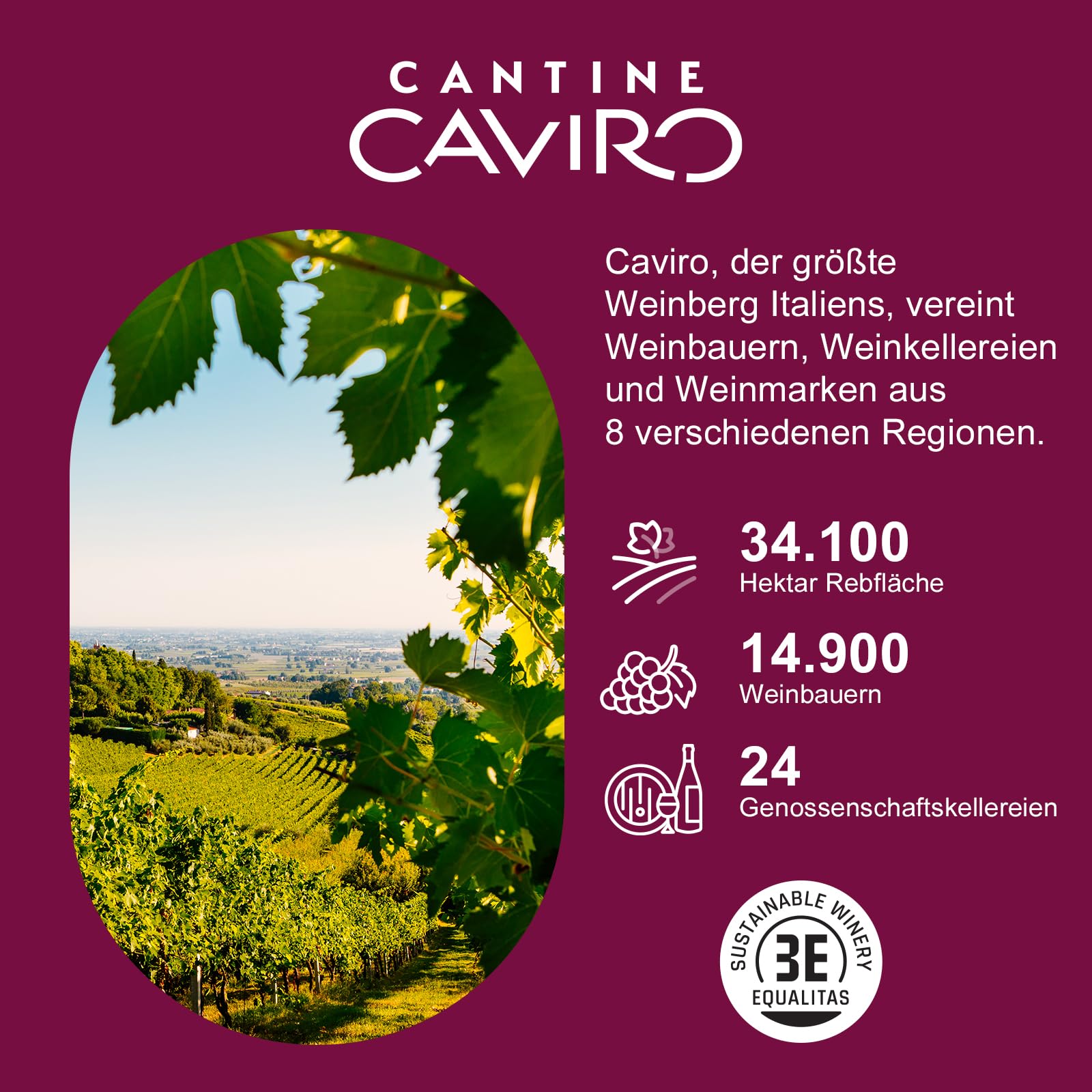 Feudo Apuliano Primitivo di Manduria DOP, Rotwein mit Vollmundigem Geschmack, Warm mit Umhüllendem Abgang, mit Noten Reifer Früchte, 15% Vol., Karton mit 6 Flaschen mit jeweils 750 ml