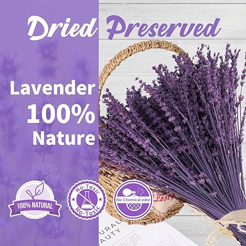 Miniatura 2 de Paquete de 300 flores de lavanda secas conservadas, ramo de lavanda seca púrpura natural de 15 a 17 pulgadas para manualidades, ducha, deshierbe del