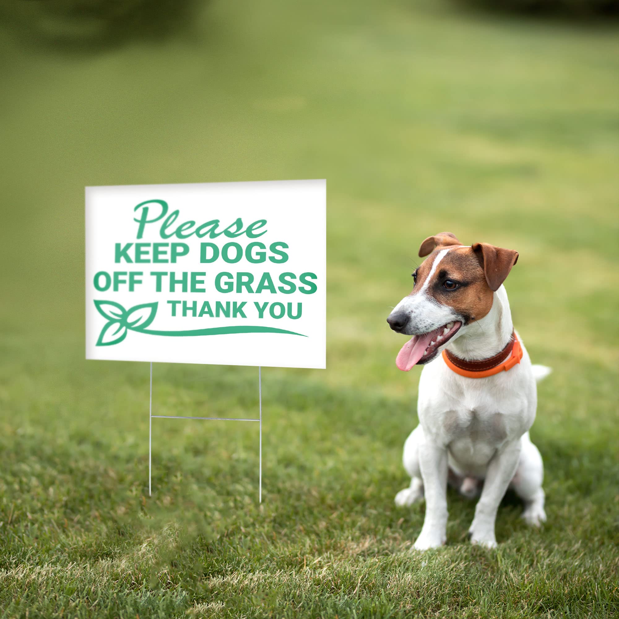 Panneau « Stay Off Grass » Avec Piquet - Keep Off Grass - Keep Off