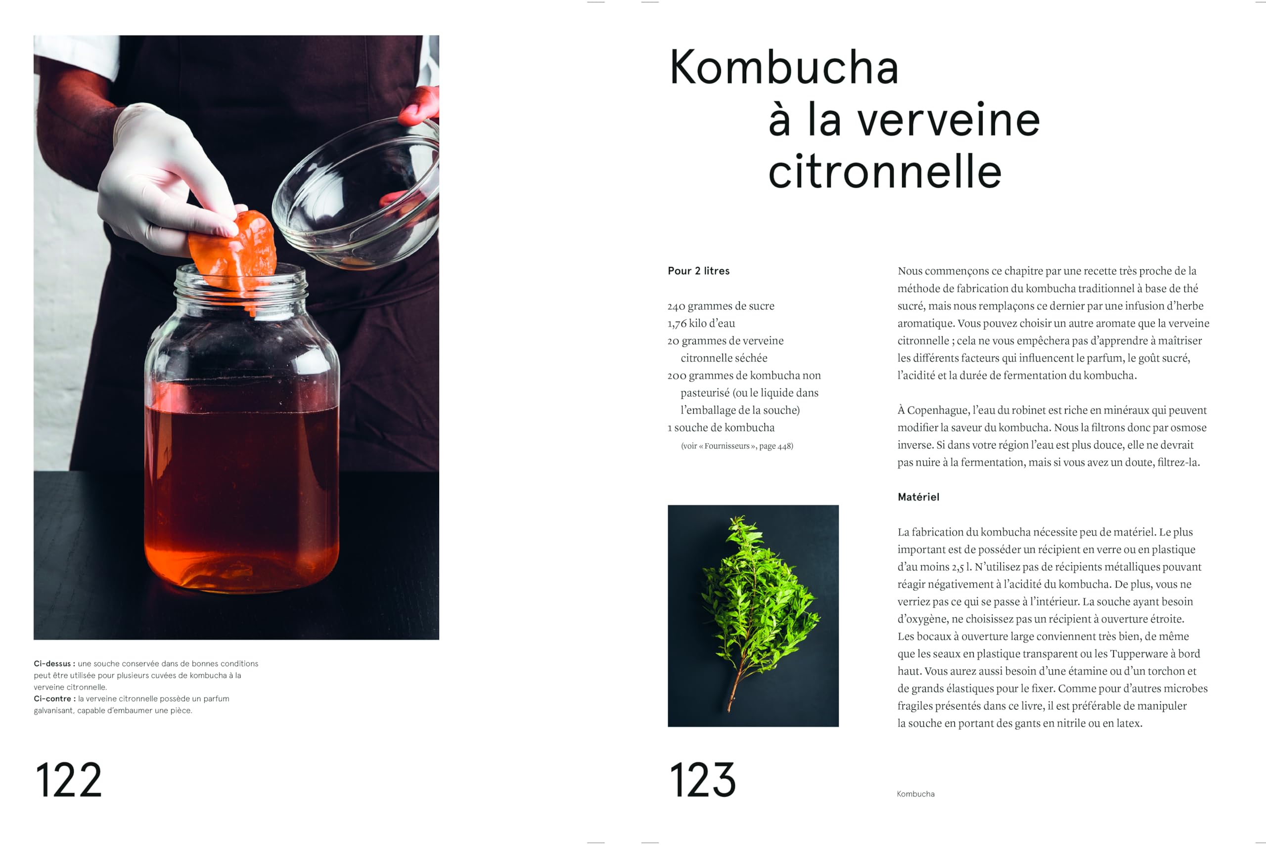 Le guide de la fermentation du Noma