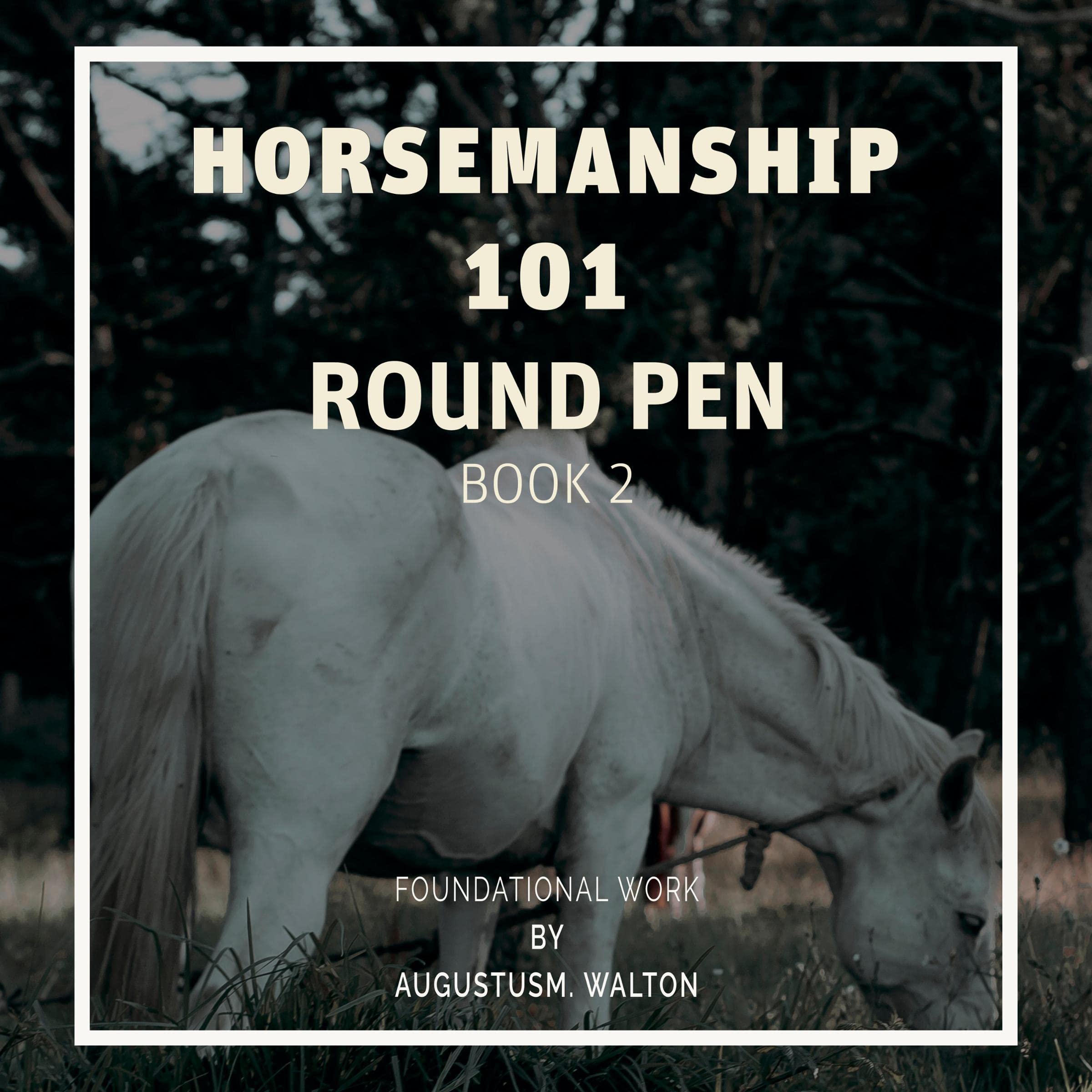 Cover art for Horsemanship 101: Round pen: Foundational Work: Beginner Horsemanship Series, Book 2