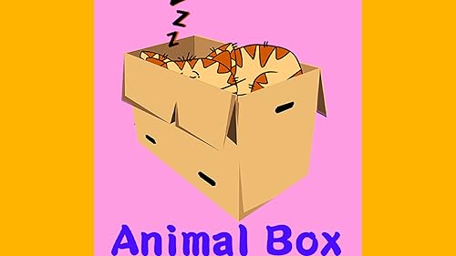 Caixa animal