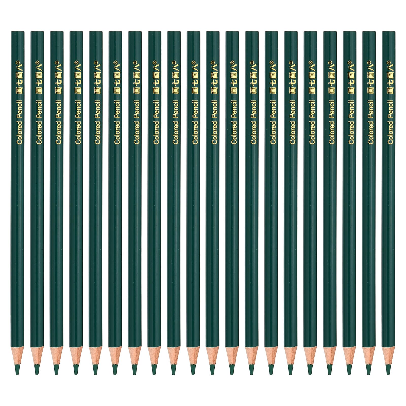 PATIKIL Medium Green Colored Pencils Set,20 Pcs Oil Color Pencils Wooden Coloring Drawing Pencil for Artists Art Painting