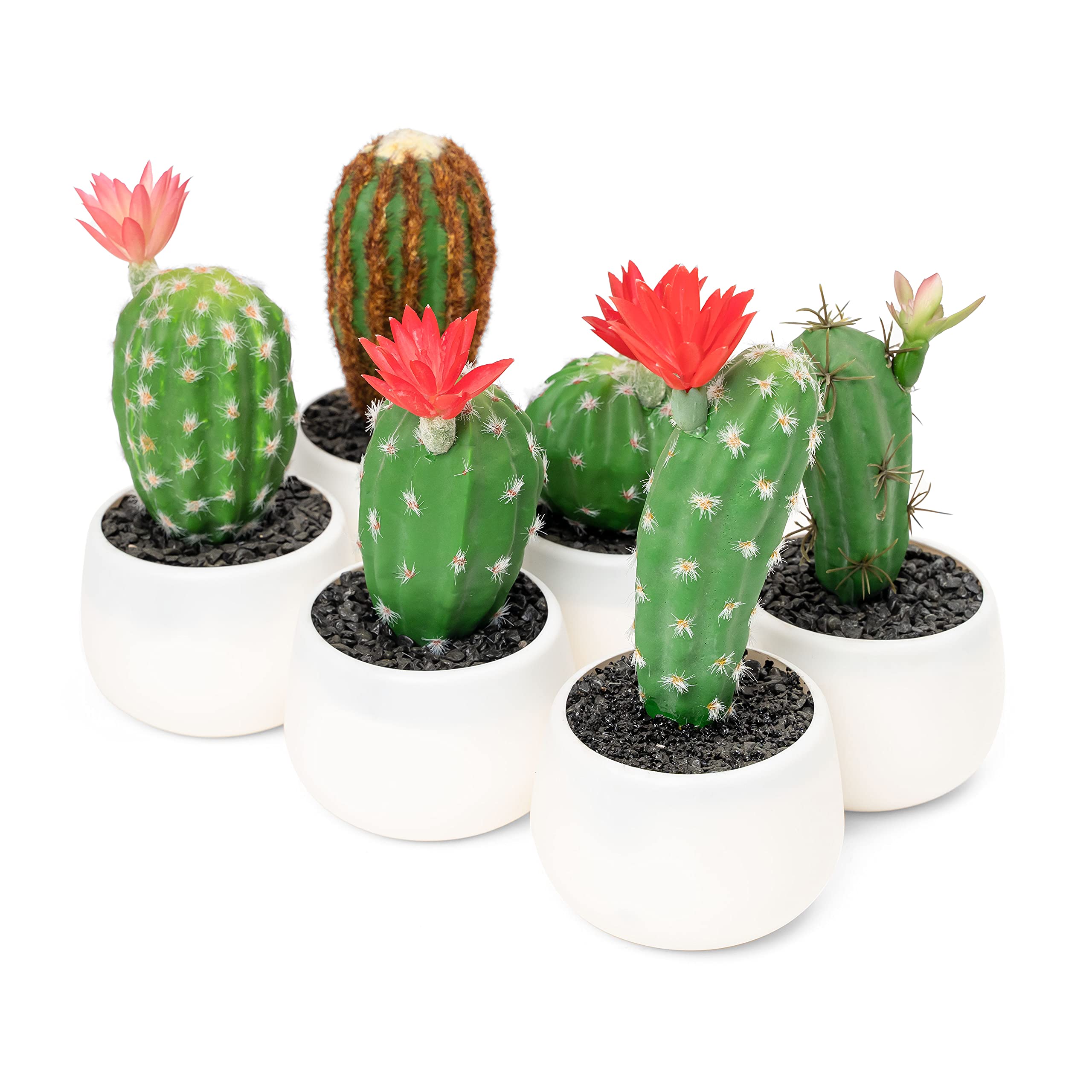 Simple Elements Artificial Assorted Cactus with Plastic Pot | Potted Decorative Faux Cactus | Home Décor, Event Décor, Outdoor Décor, Party Décor and Wedding Décor | 6 Pieces | 4''W x 5.5''H to 8''H