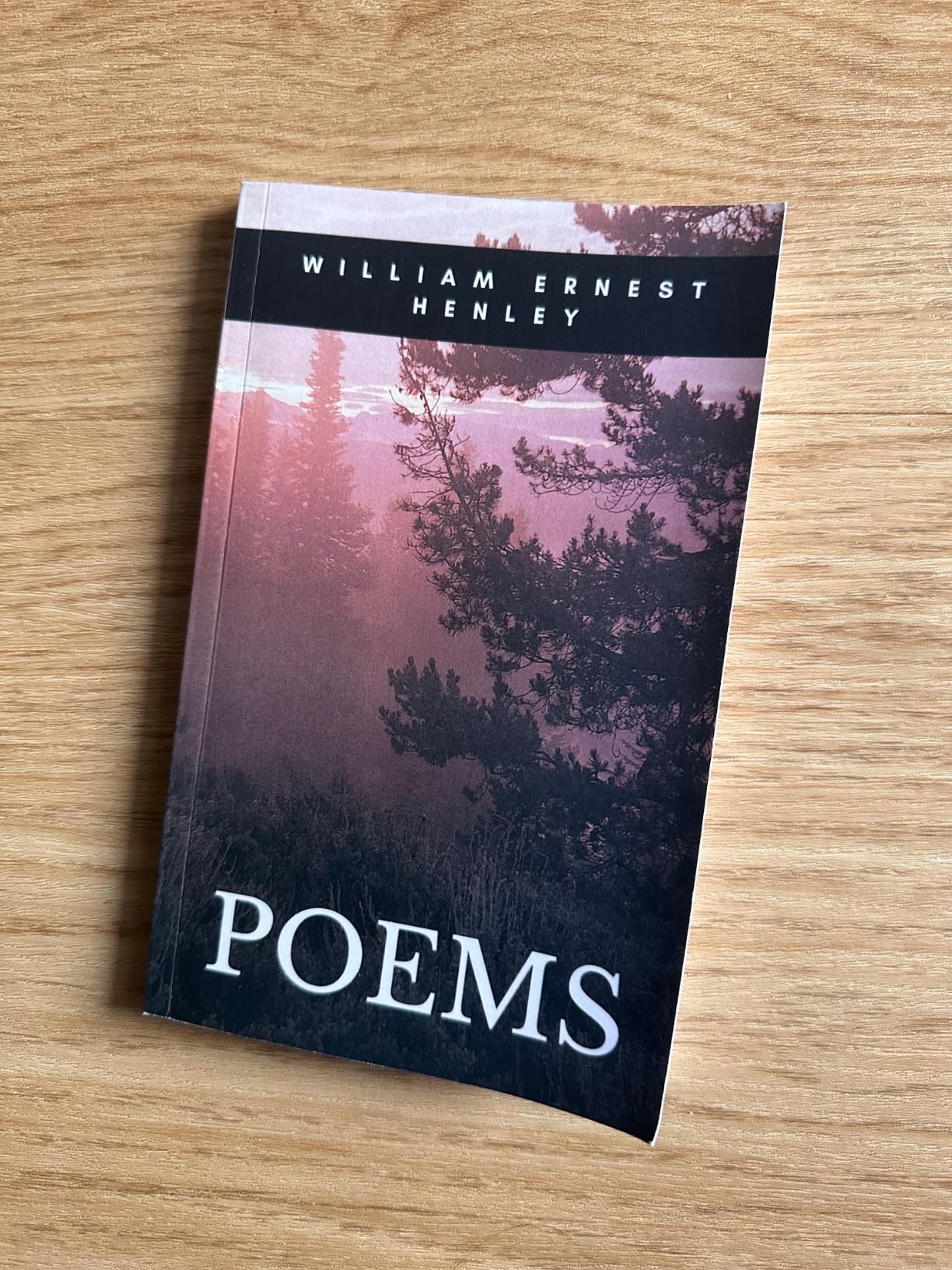 Sample Annotation Invictus POEMS: A Book of Verses, including passionate and defiant poem Invictus ...