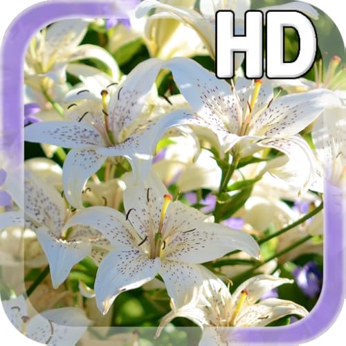 Lily Flower LWP - //medicalbooks.filipinodoctors.org