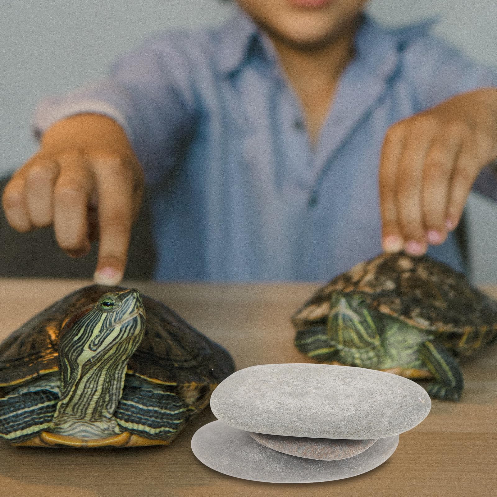 3 Stück Schildkrötenzubehör aus Stein mit Flacher Oberfläche als Sichere Sonnenplattform und Aquariumdekoration für Reptilienhabitate Zufällige Farbe