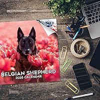 Vista 1256 de Razas de Perros 2017